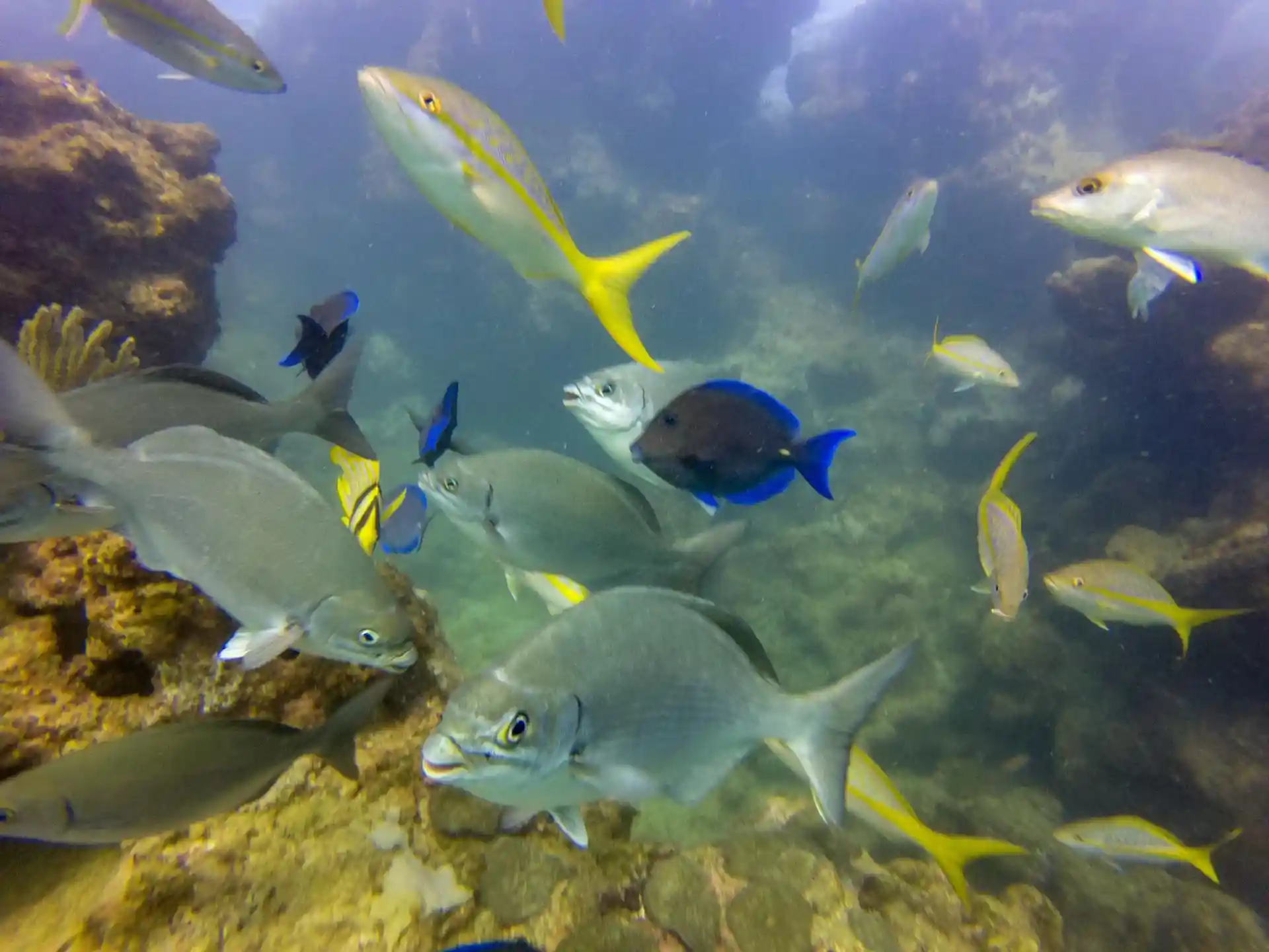 Dive site photo