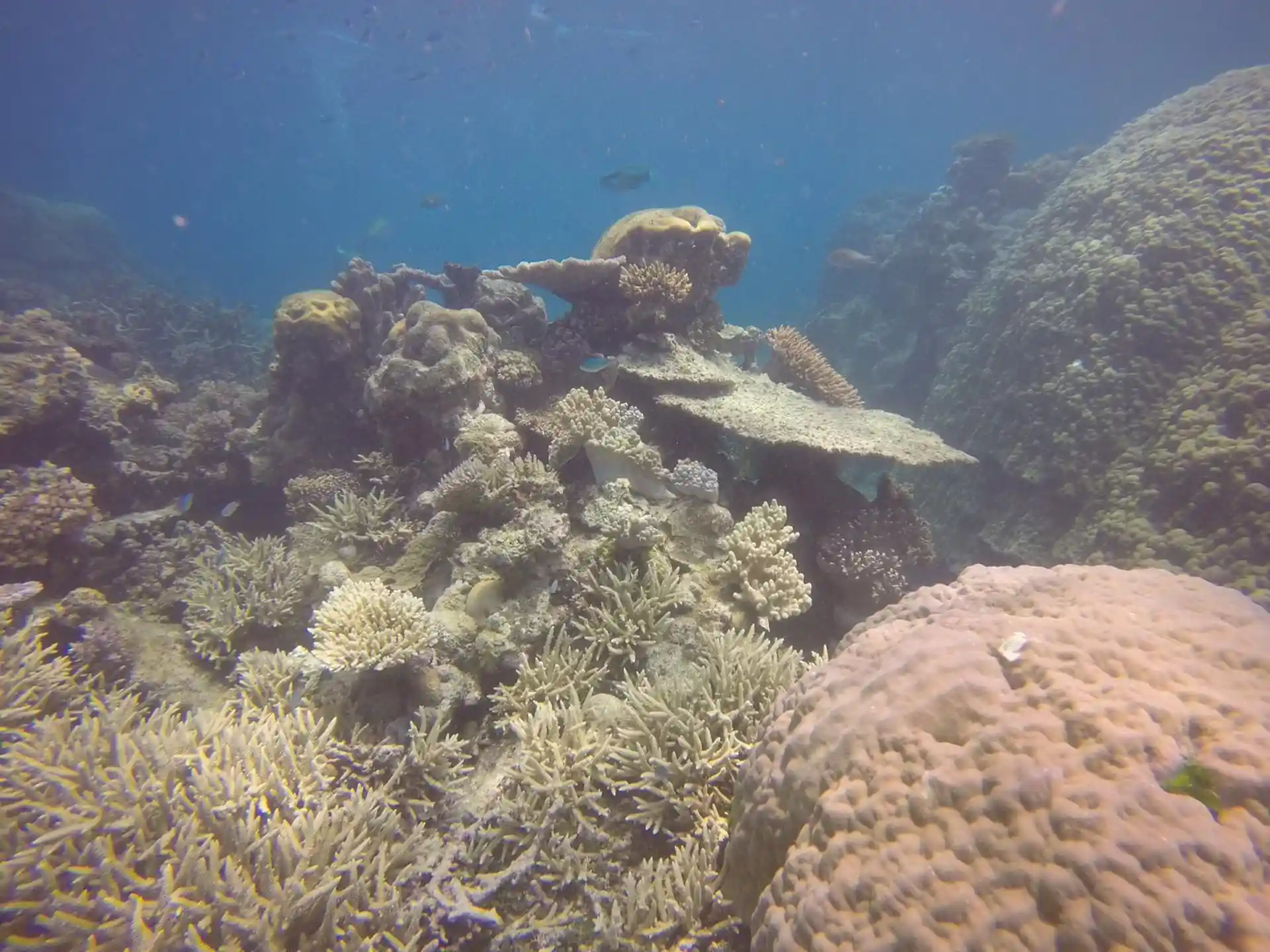Dive shop photo