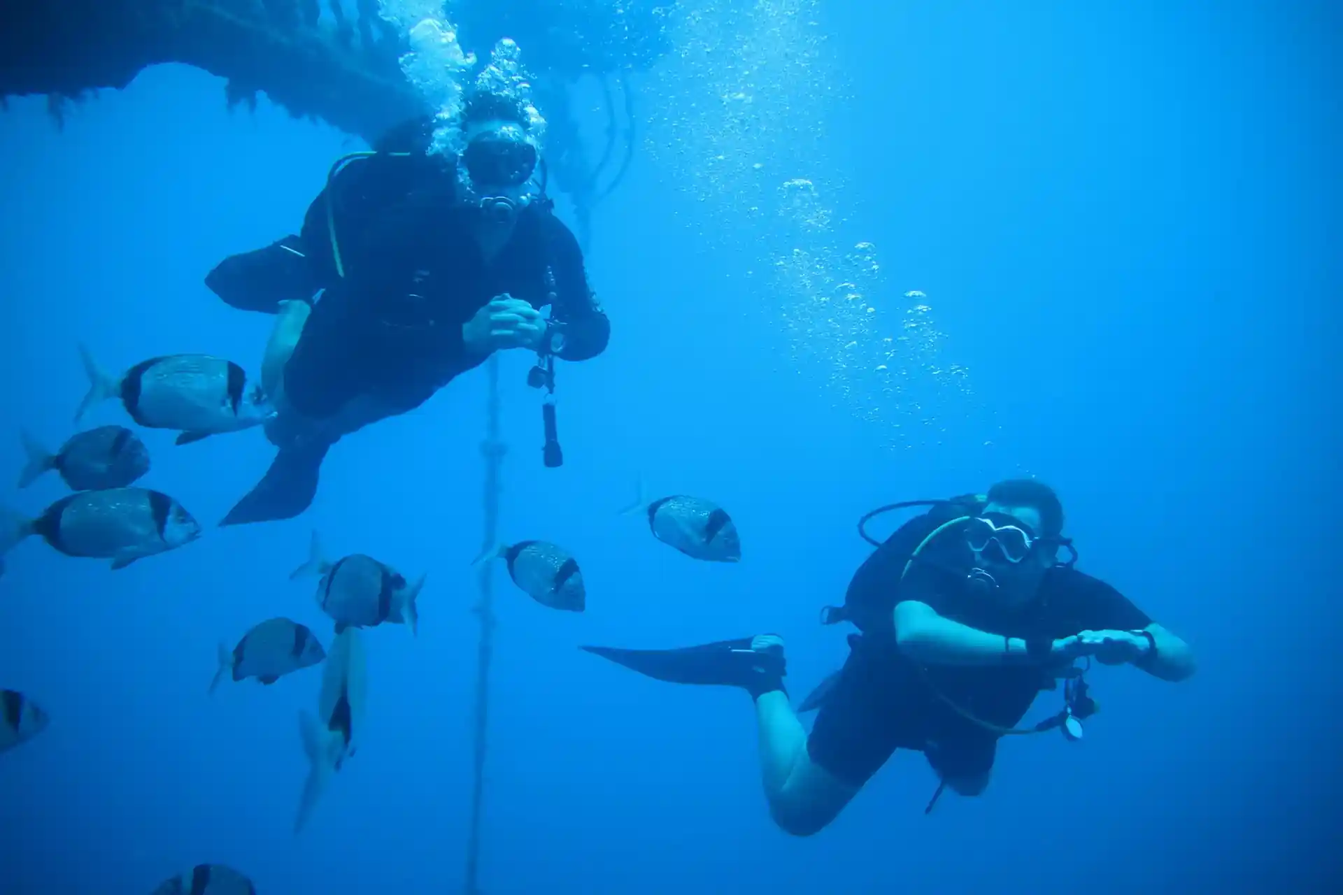 Photo du site de plongée