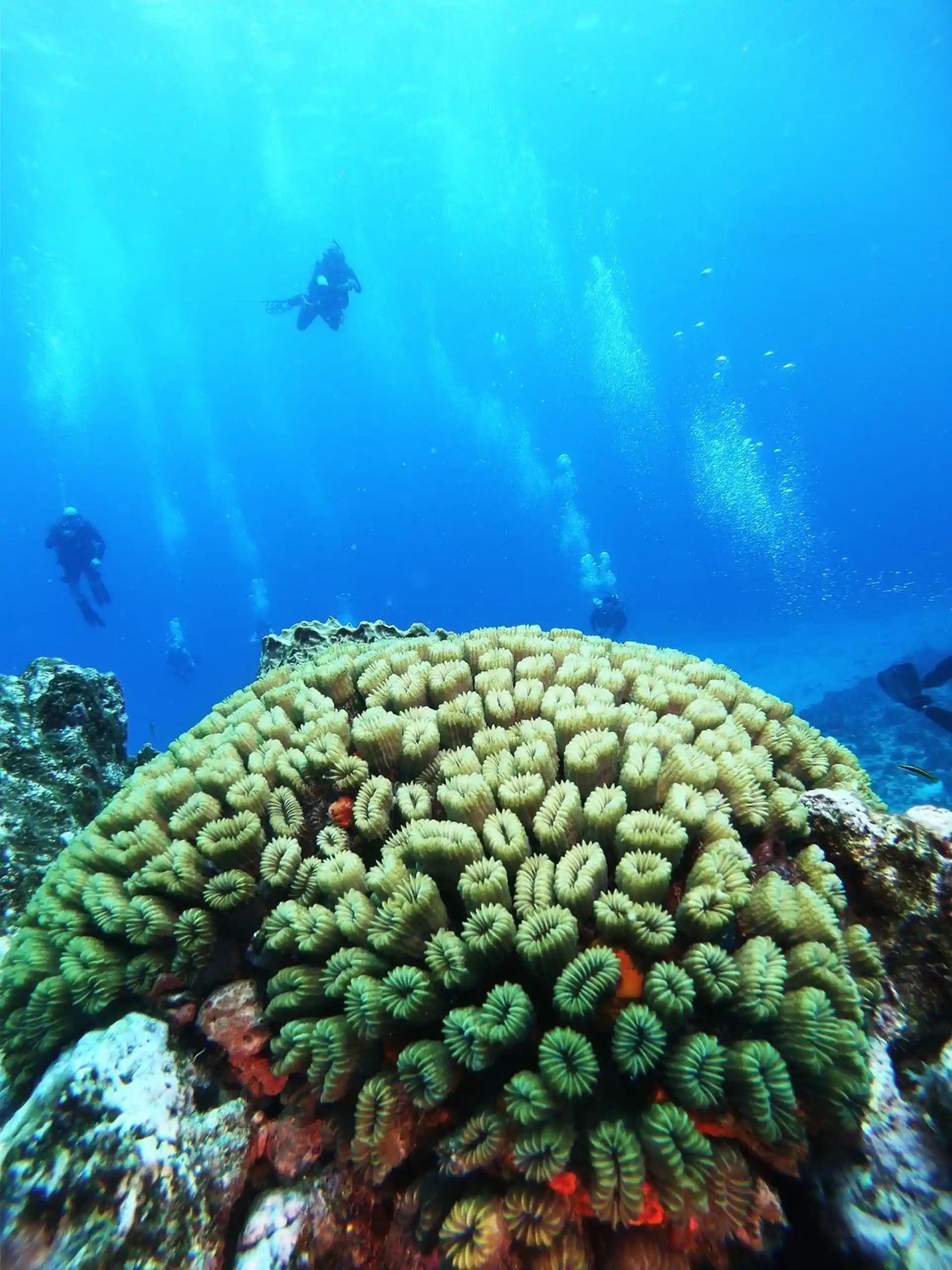 Dive site photo