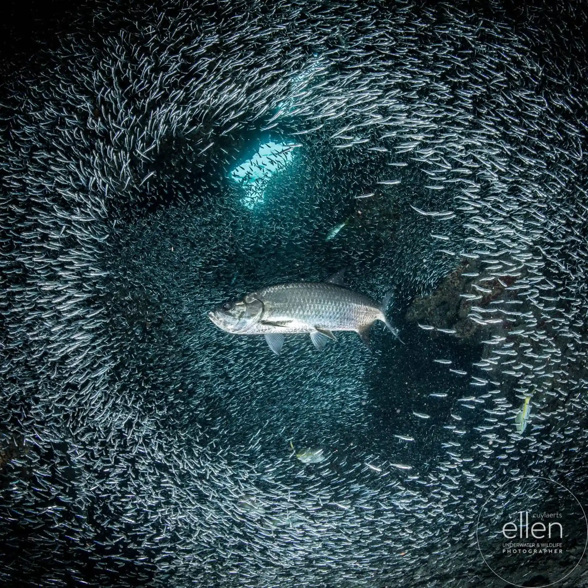 Dive shop photo
