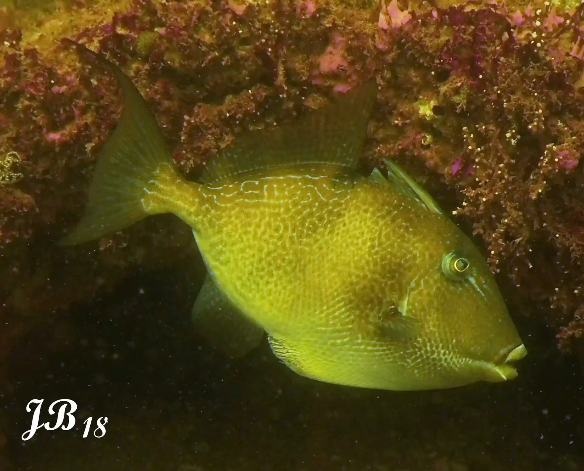 Dive site photo