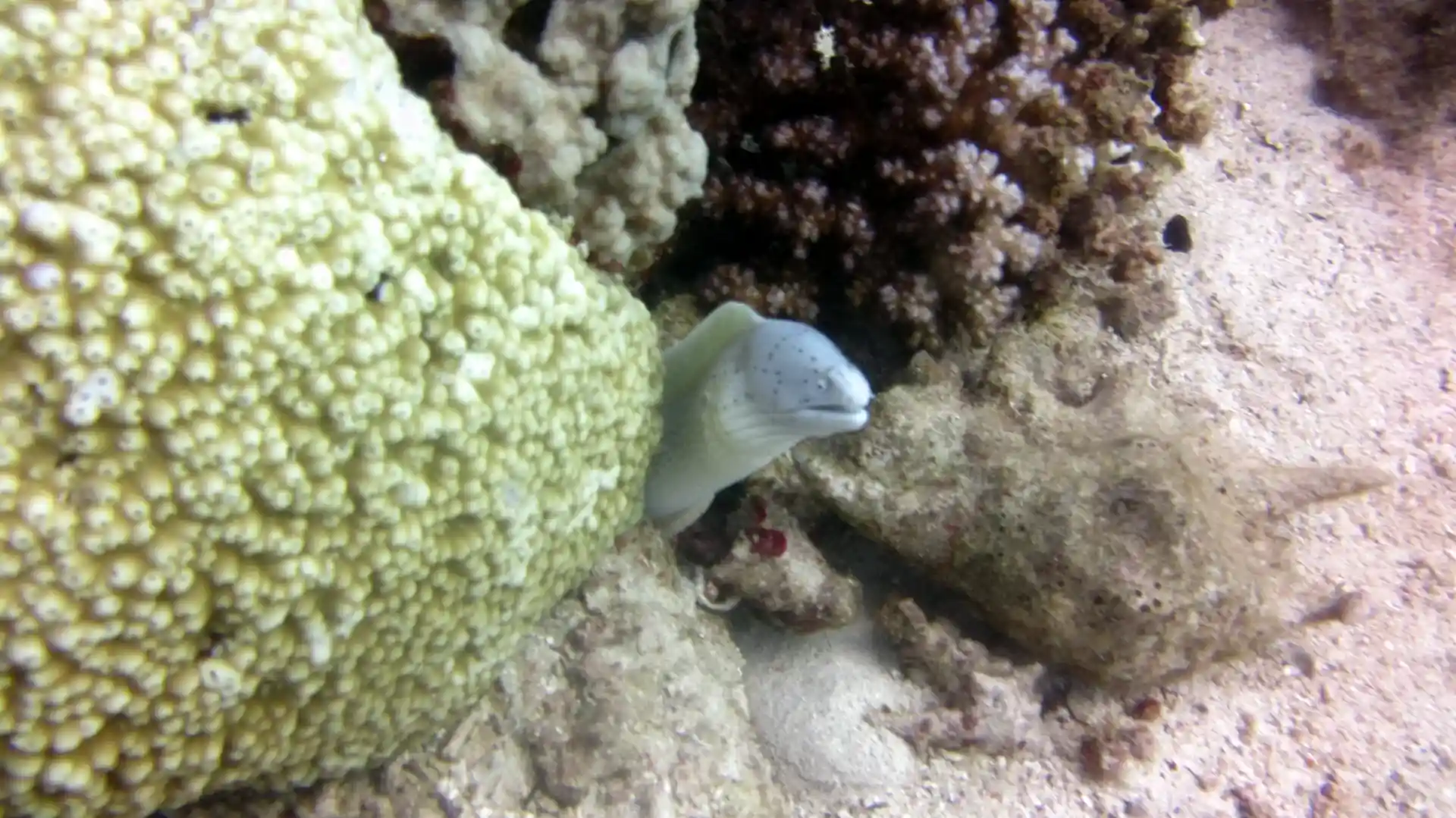 Foto del sitio de buceo