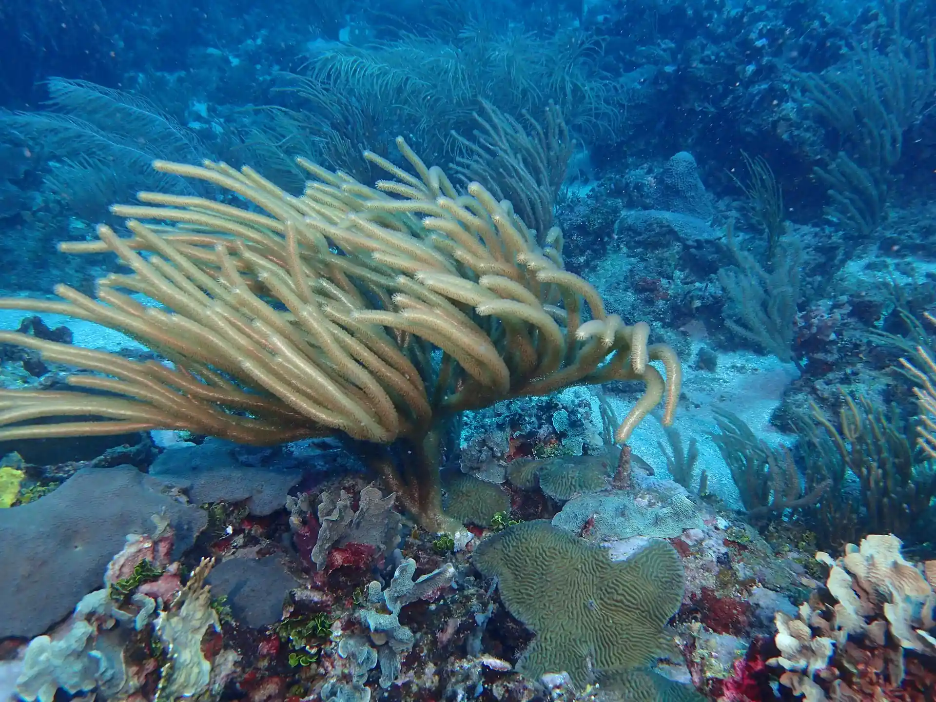 Foto des Tauchplatzes