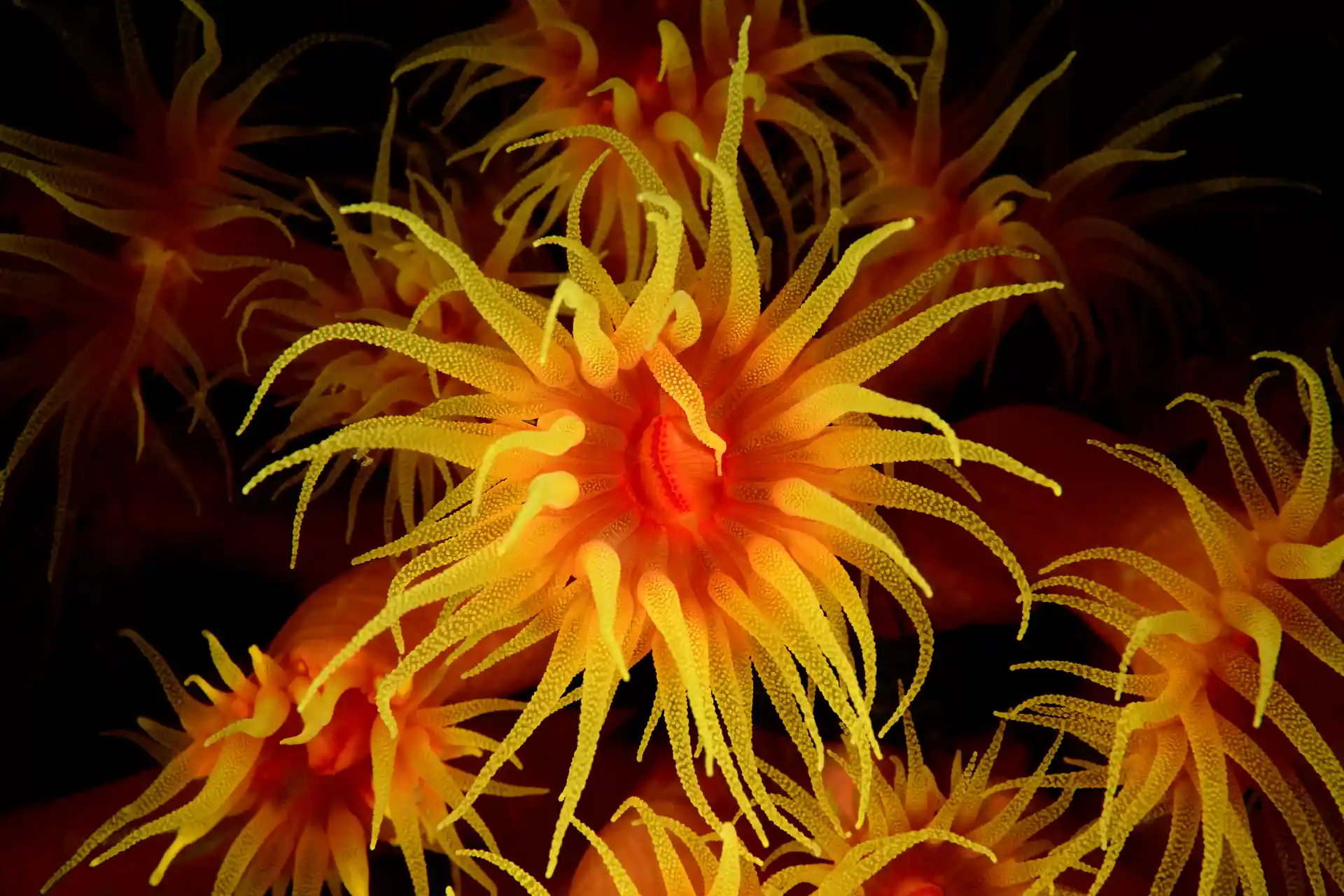 Dive shop photo