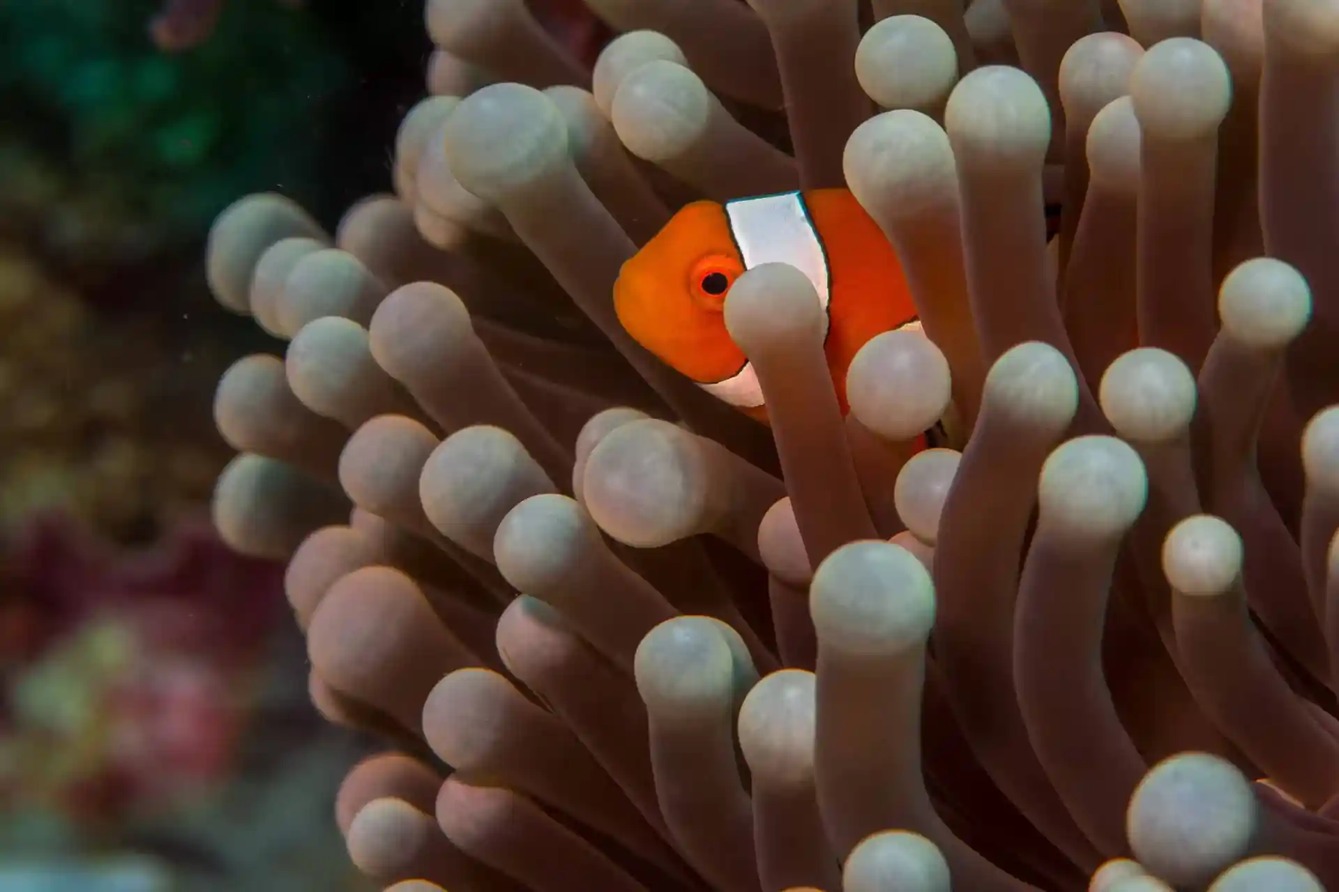 Foto des Tauchplatzes