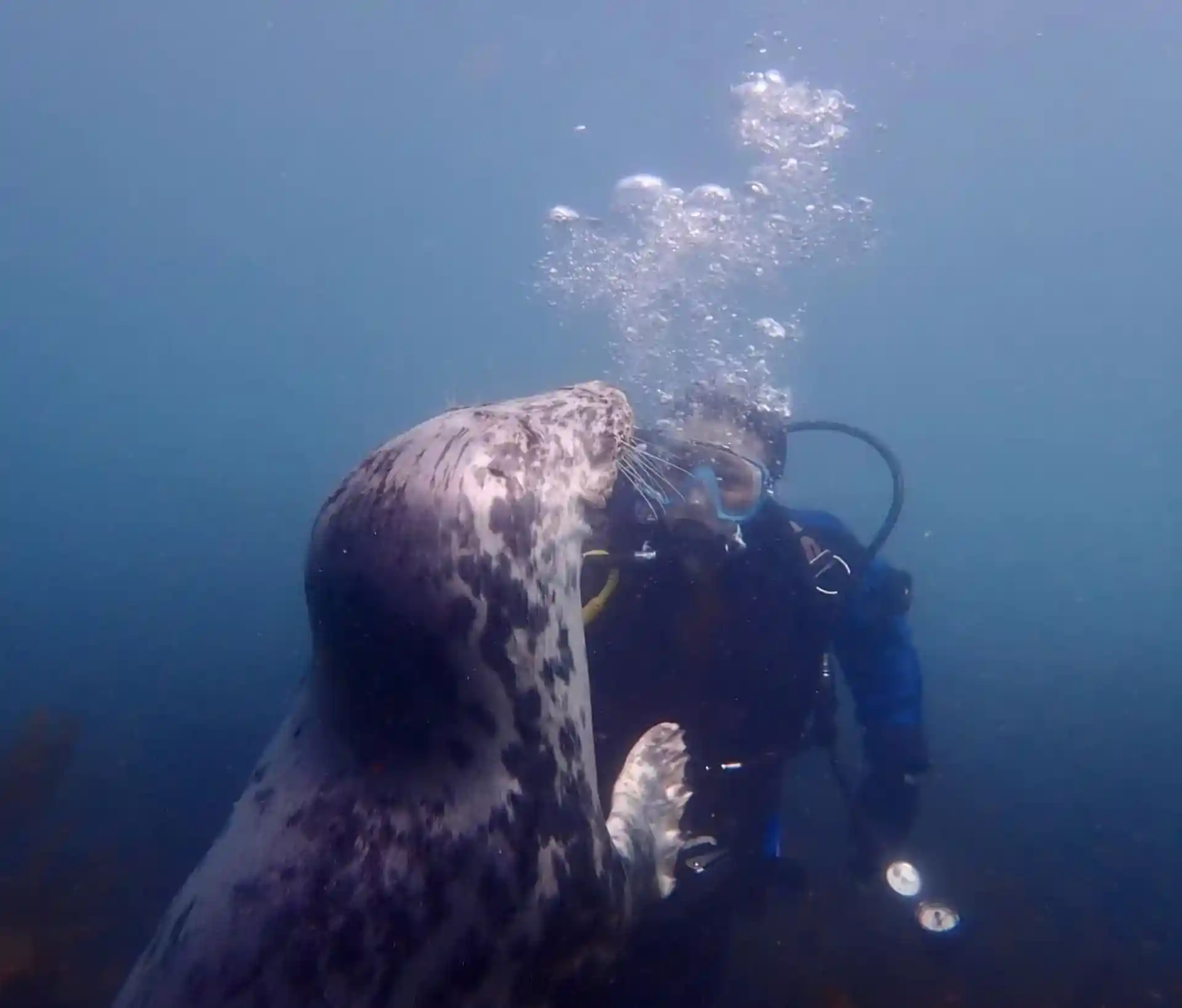 다이빙 포인트 사진