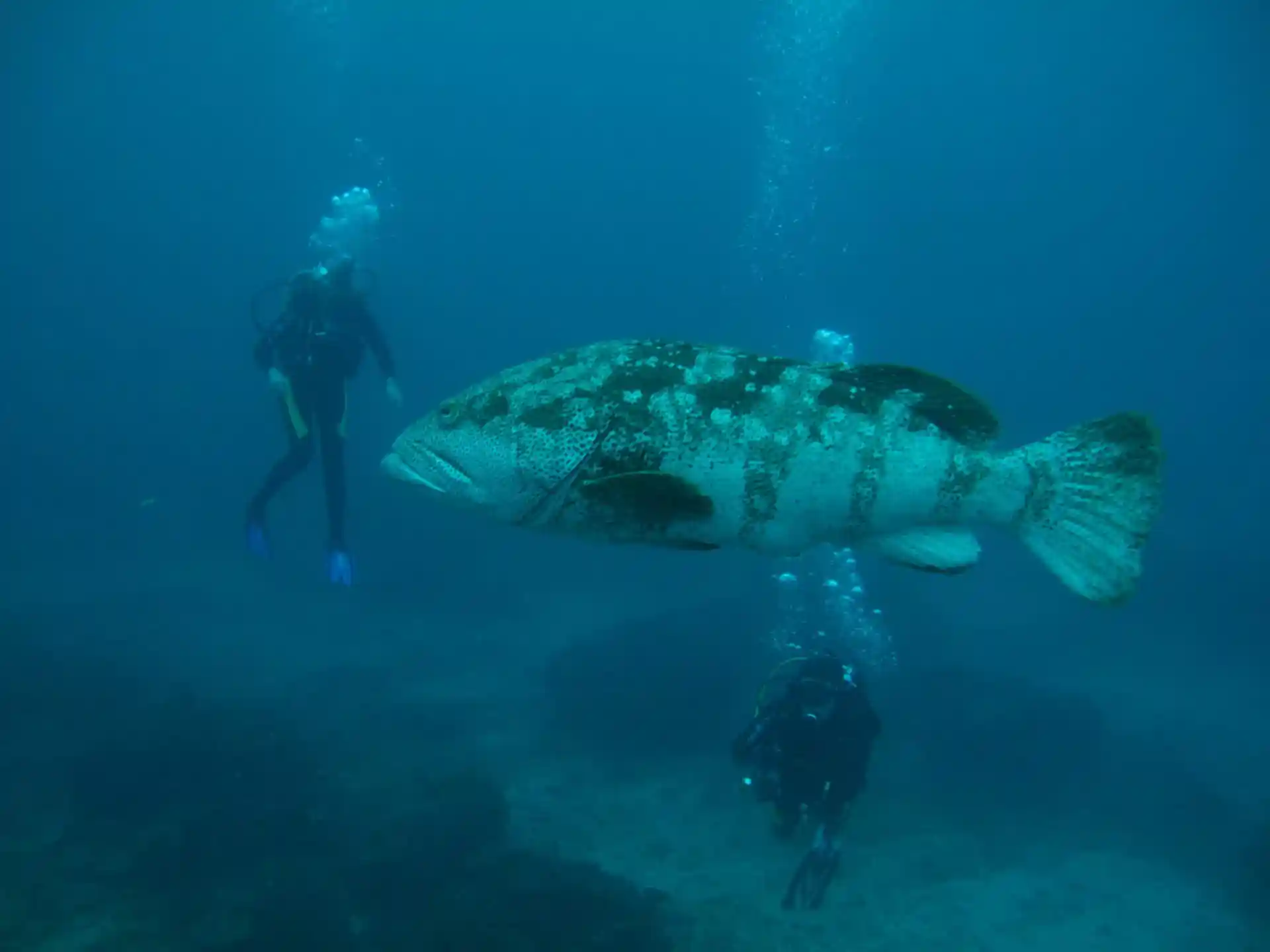 Dive site photo