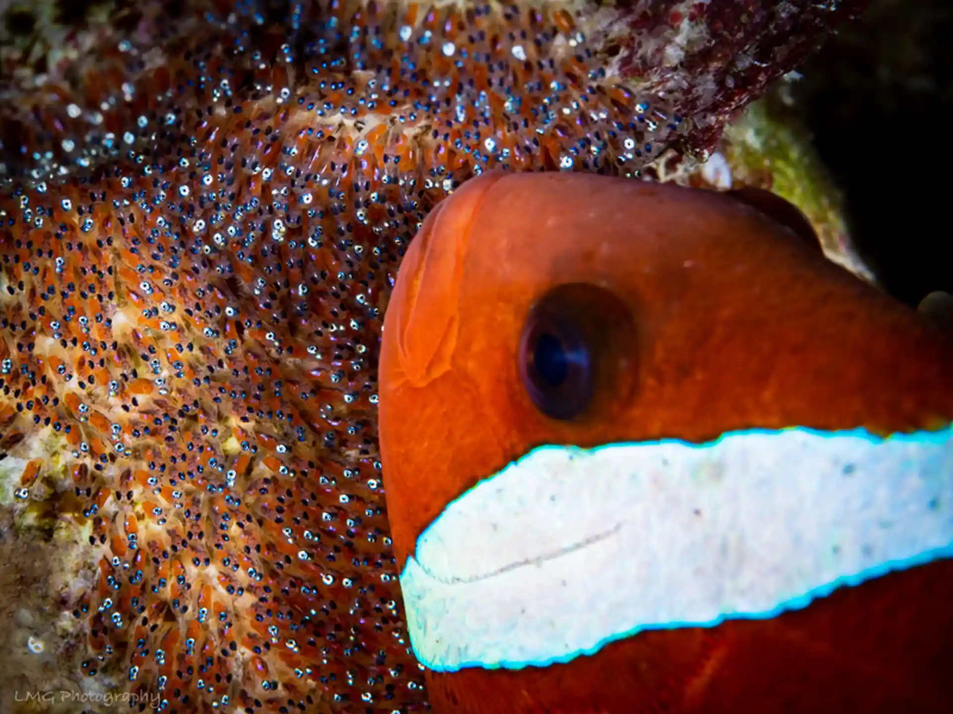 Dive site photo