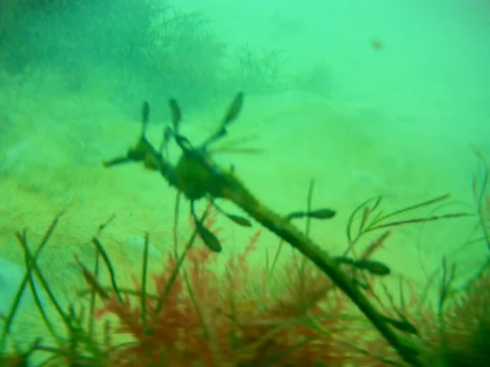 Dive site photo