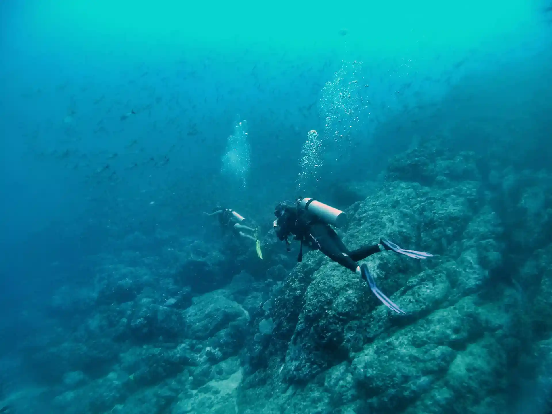 ダイビングサイトの写真