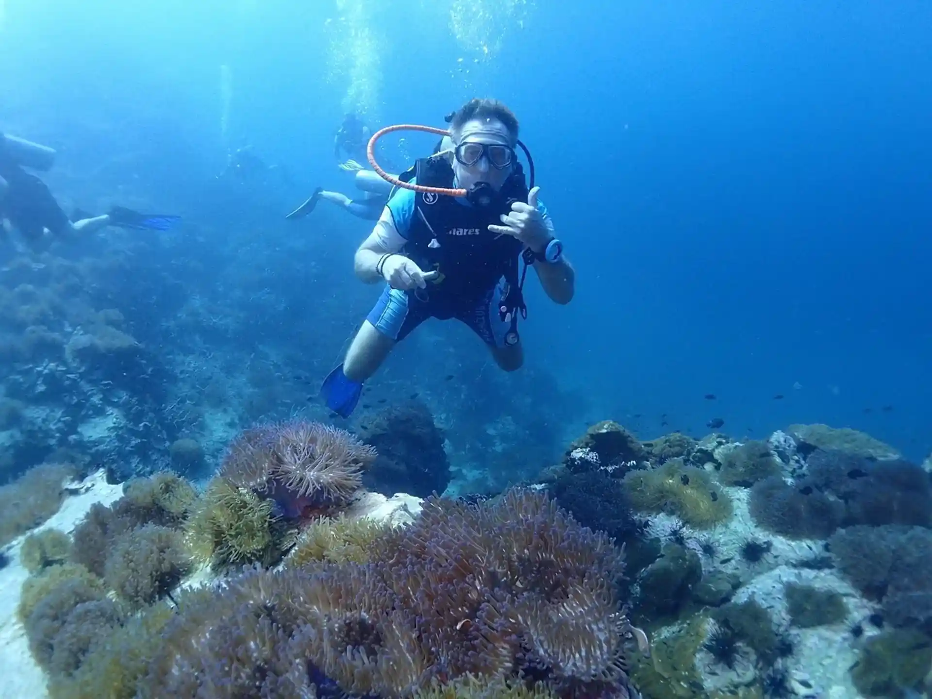 Dive shop photo