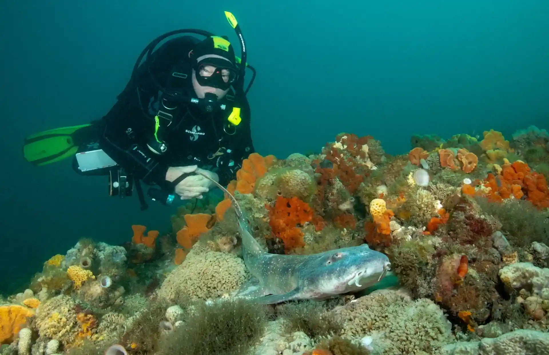 Dive site photo