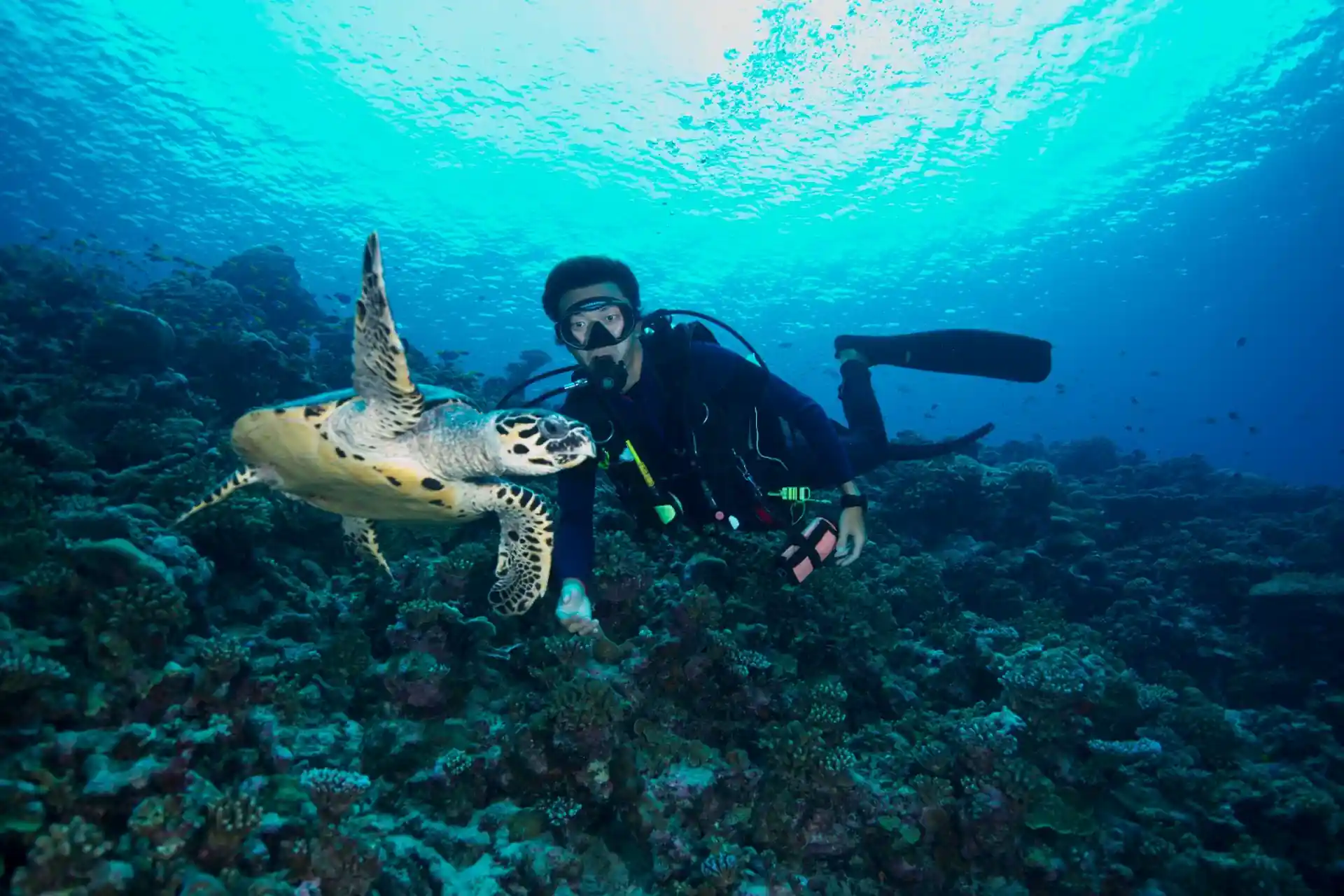 Foto de la tienda de buceo