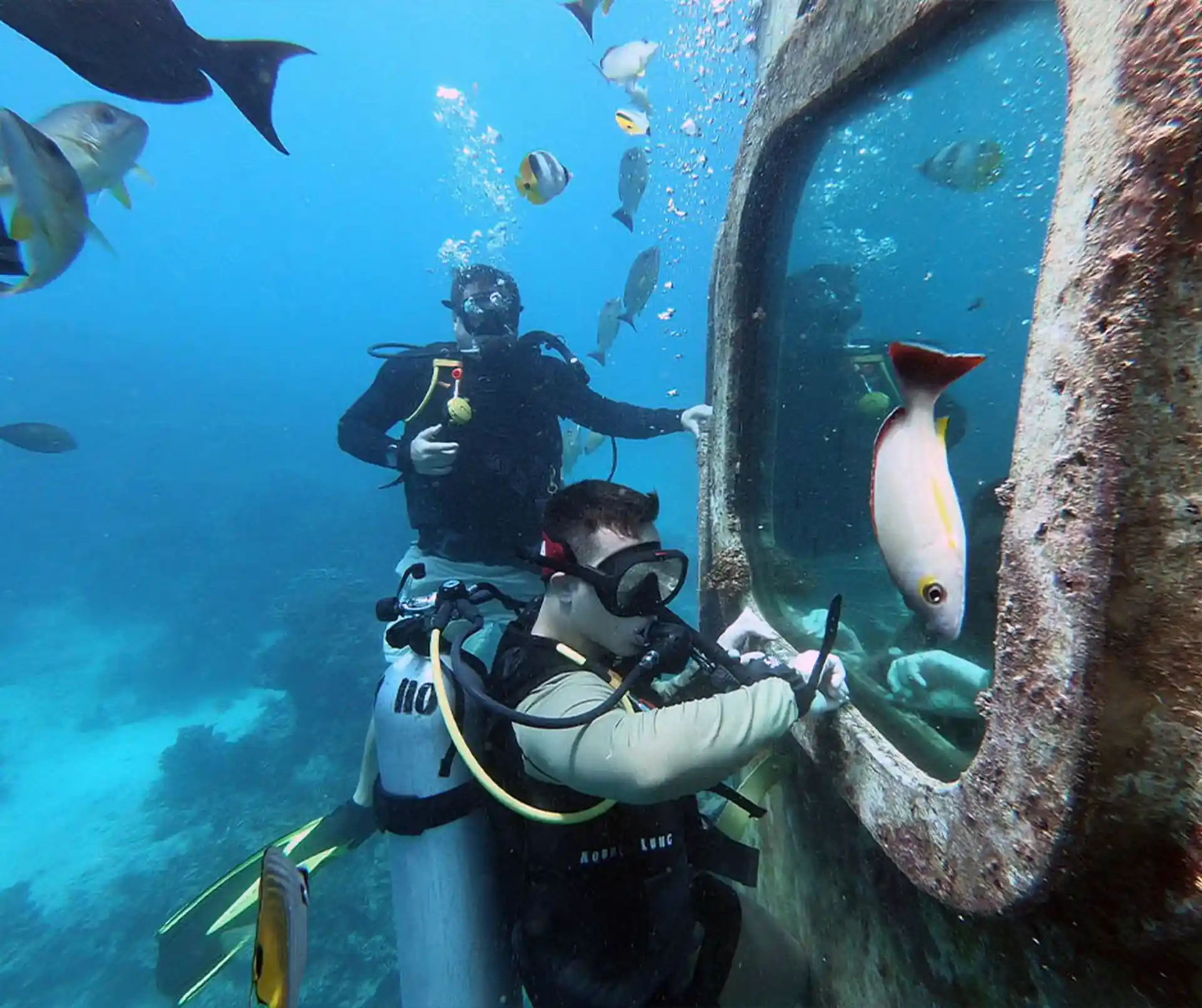 Dive site photo