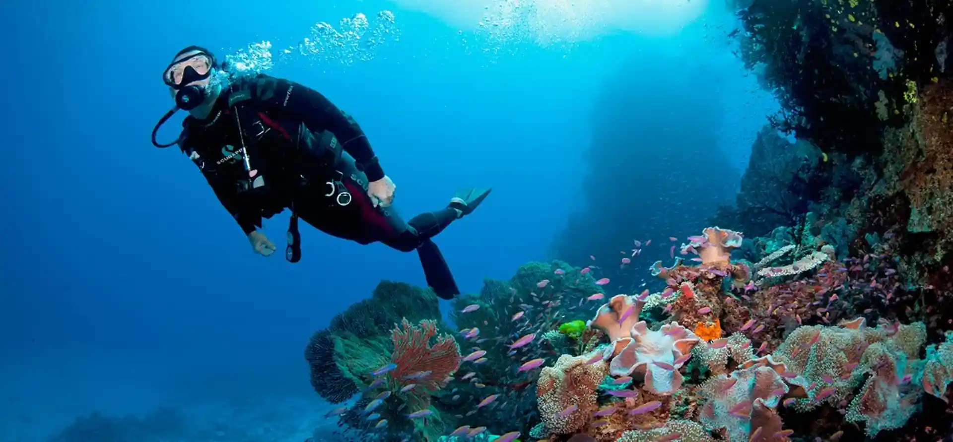 Dive shop photo