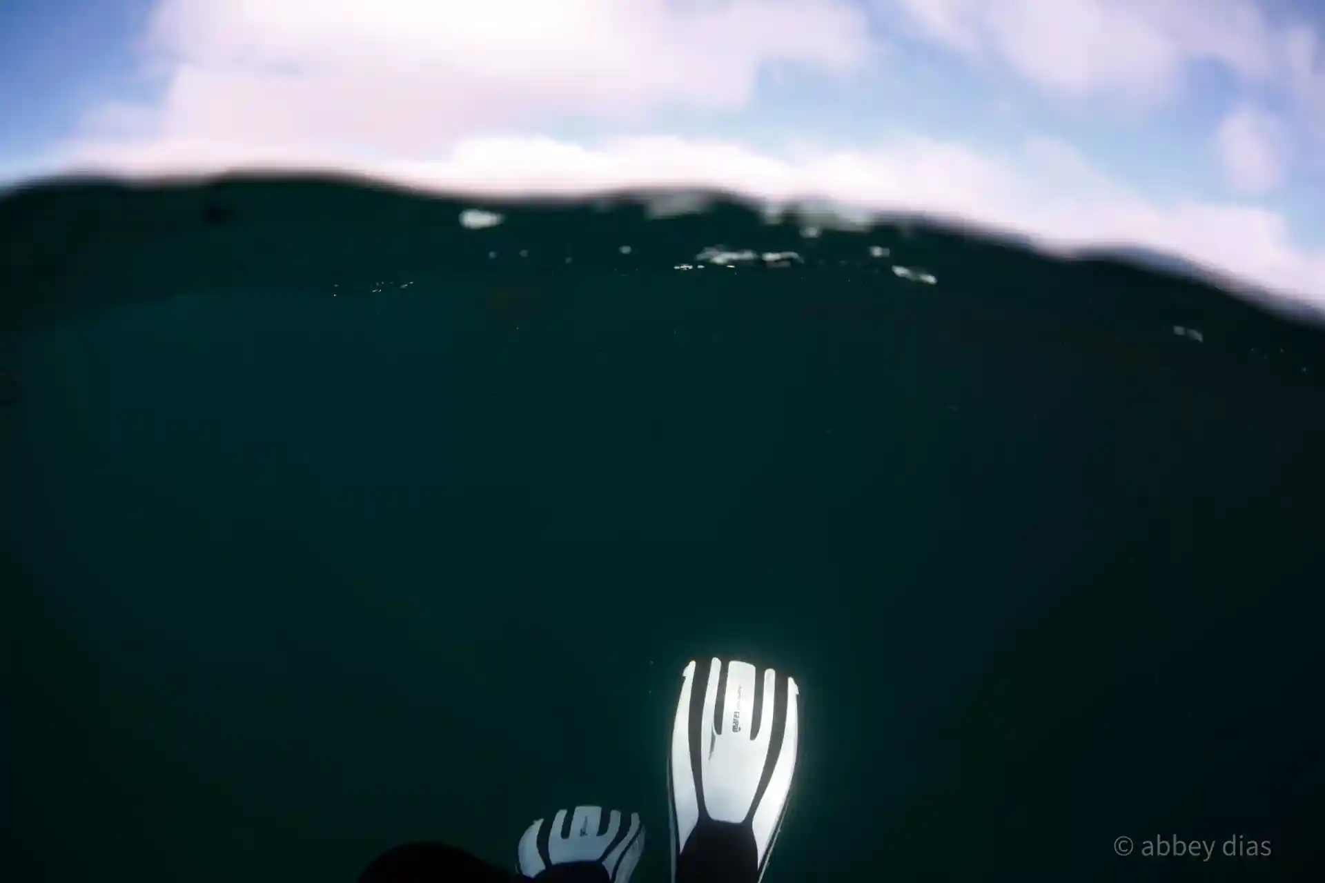 Dive shop photo
