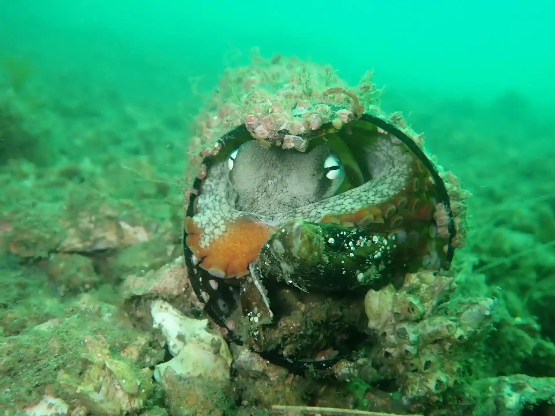 다이빙 포인트 사진