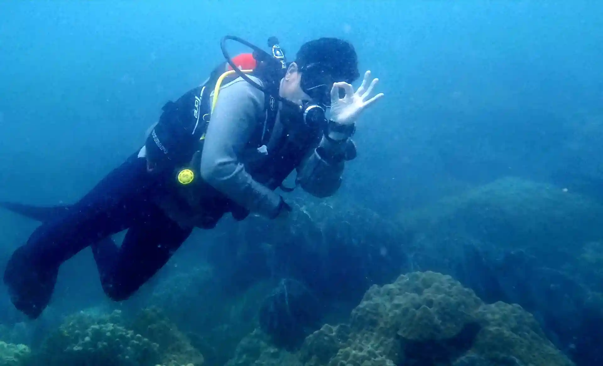 ダイビングサイトの写真