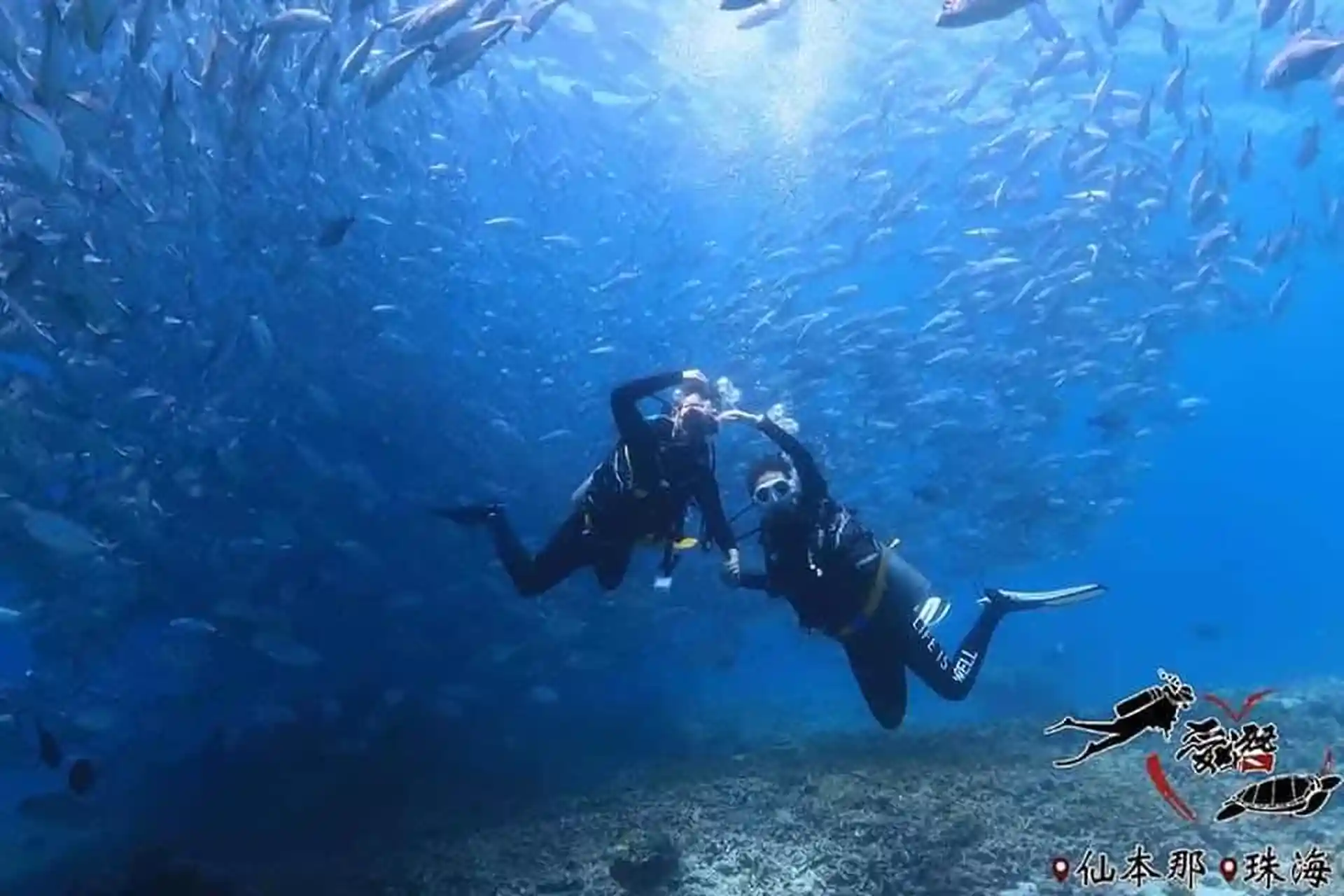 Dive shop photo