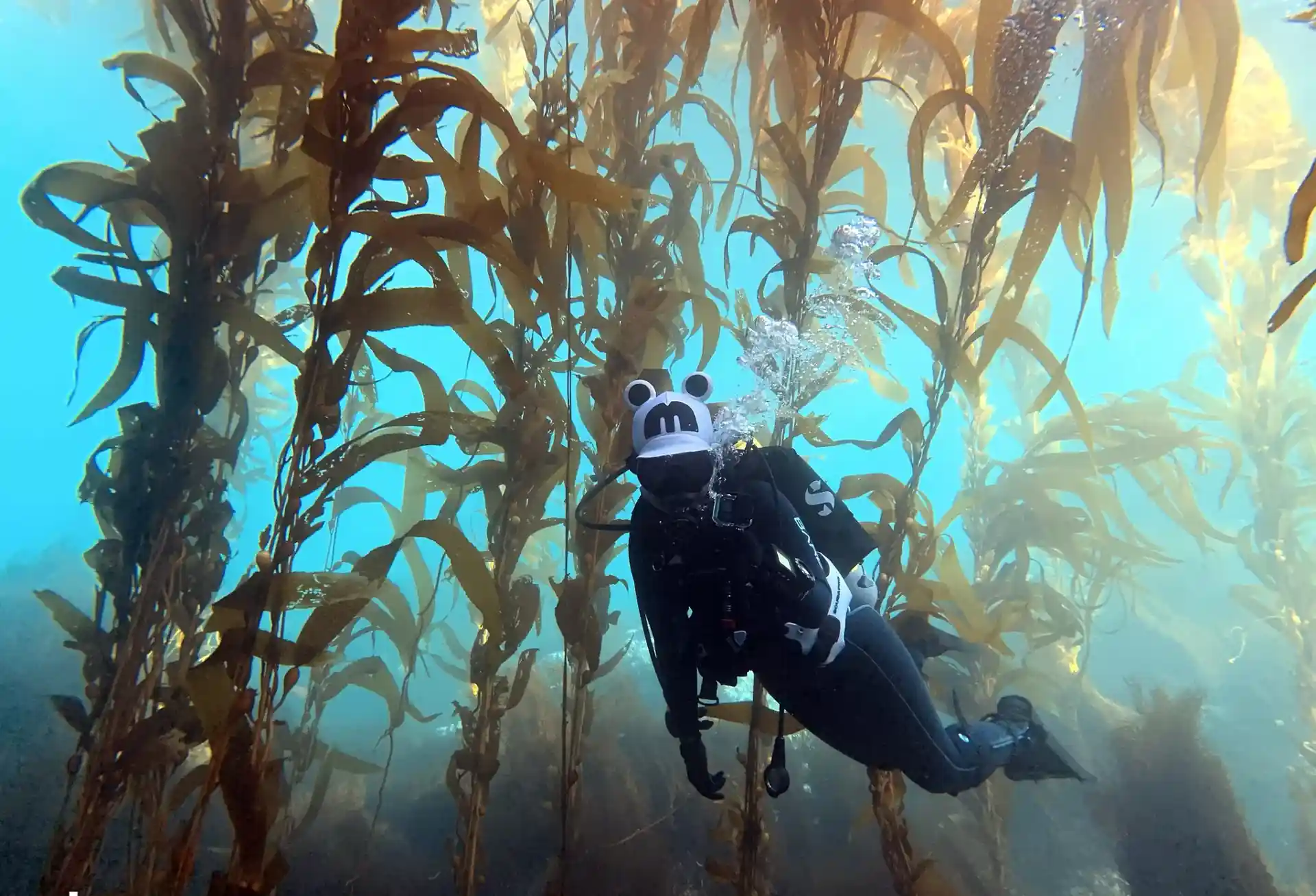 Dive site photo