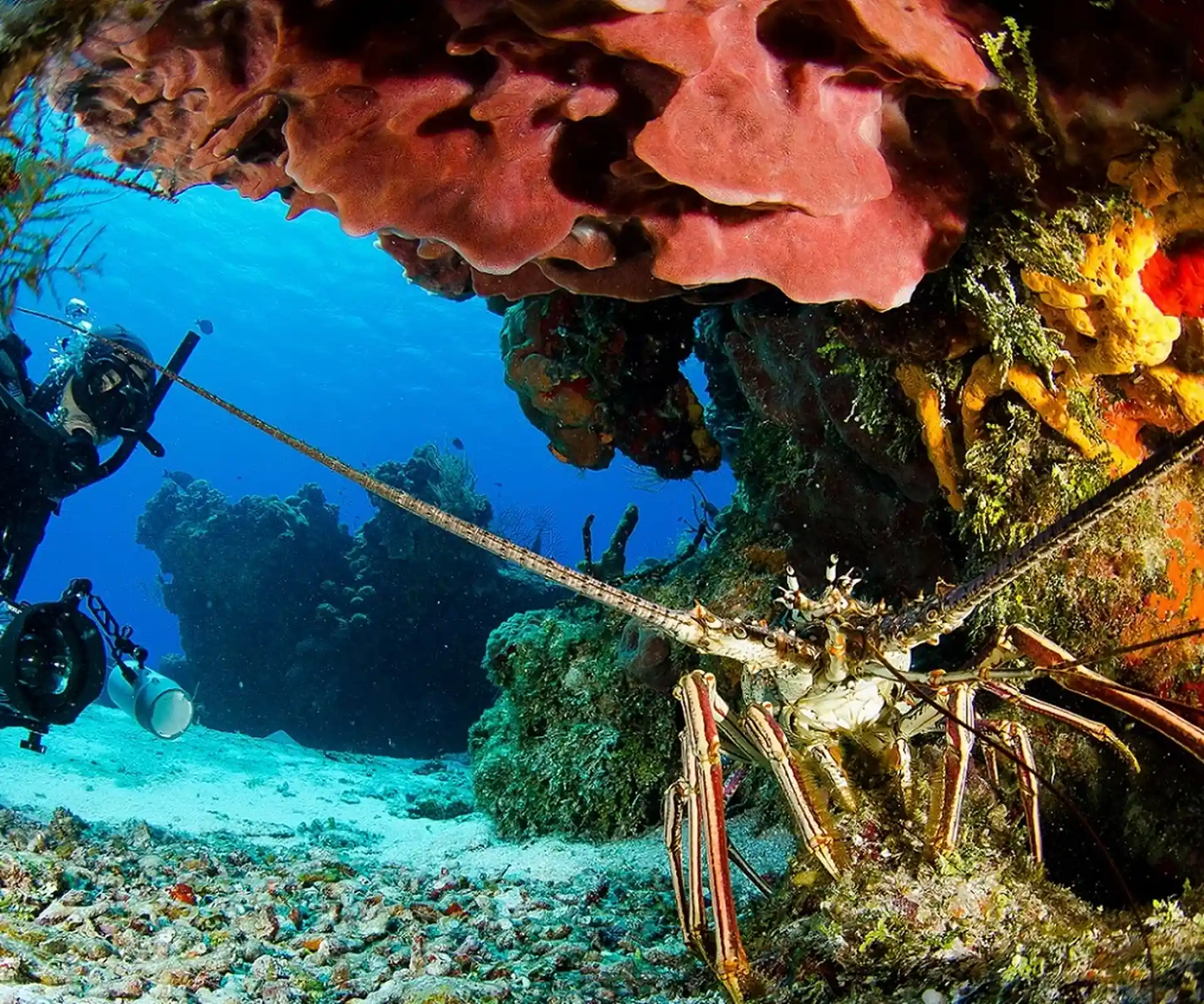 Foto de la actividad