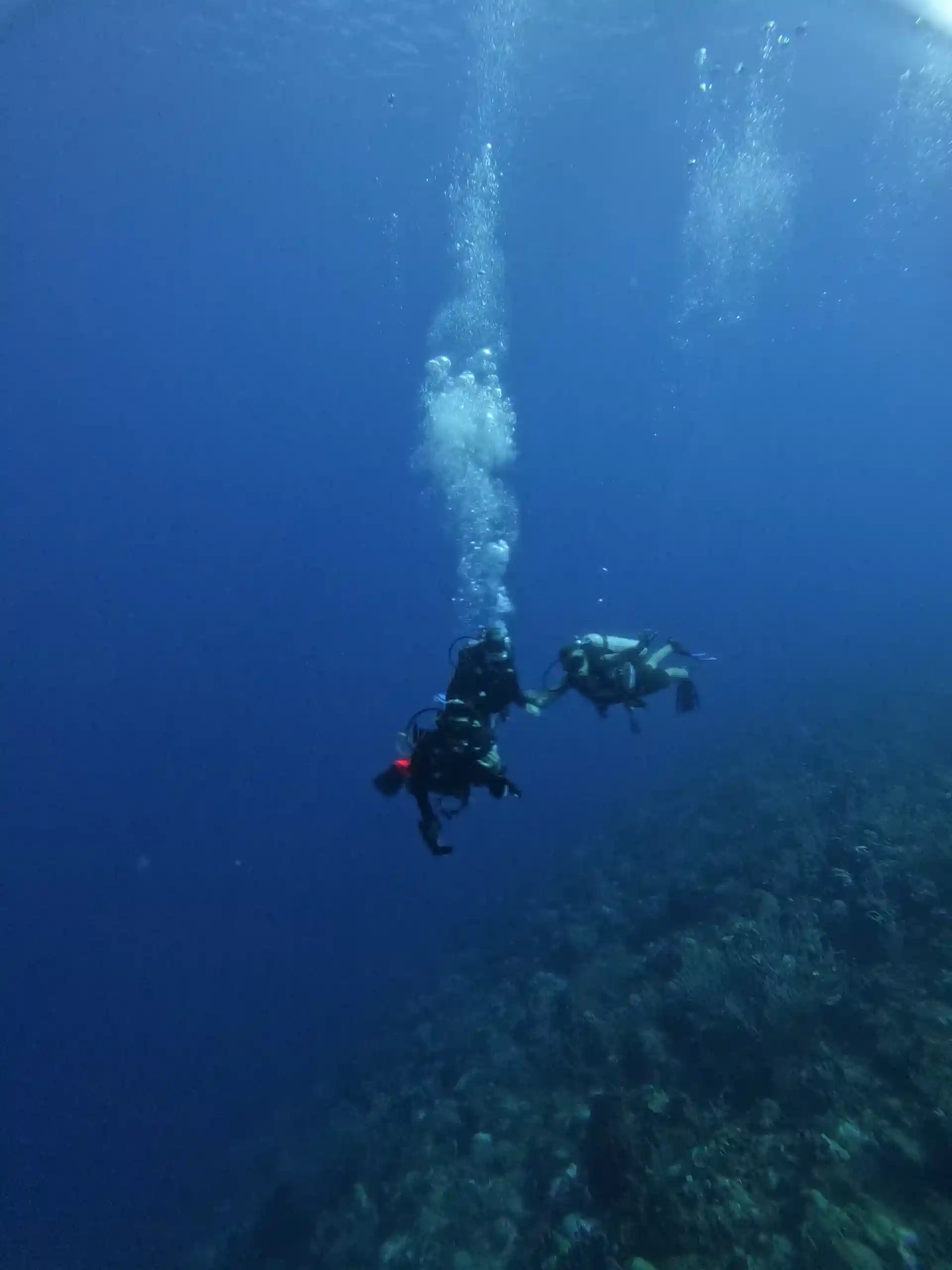 다이빙 포인트 사진