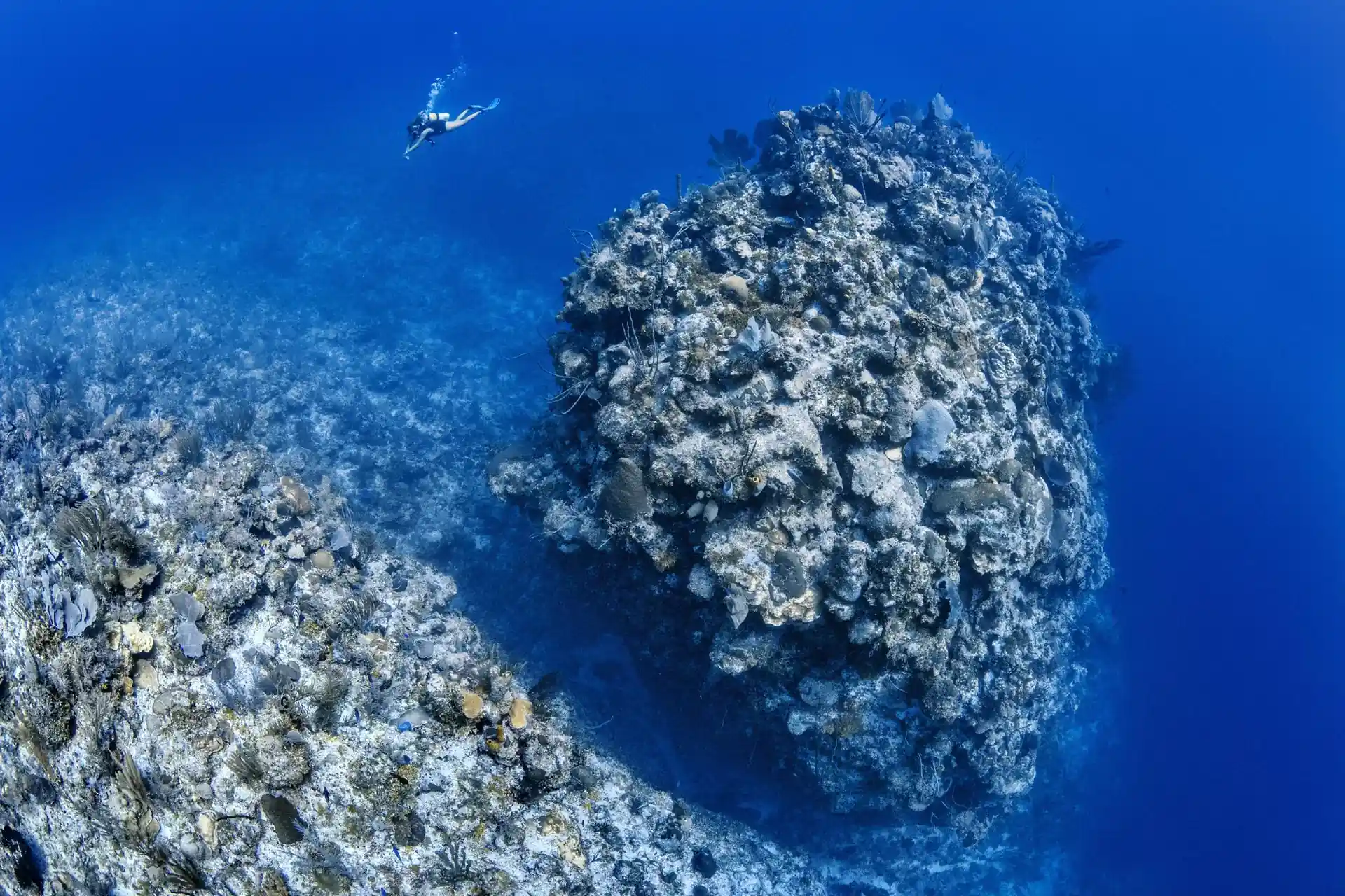 Dive site photo