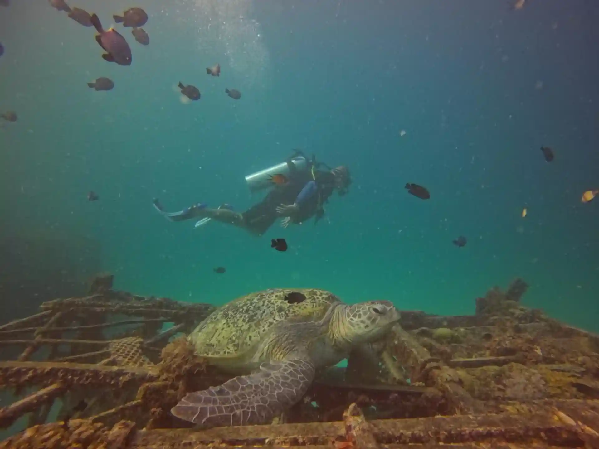 Dive site photo