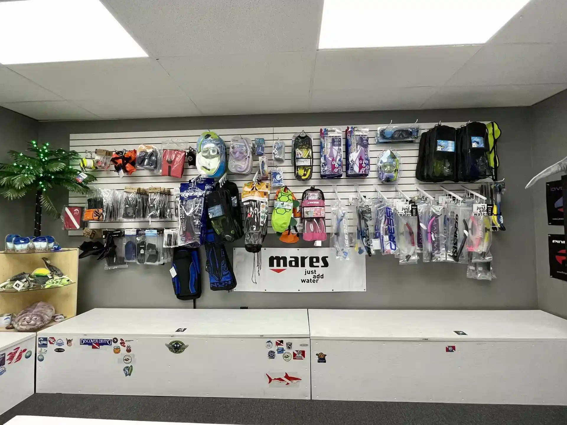 Dive shop photo