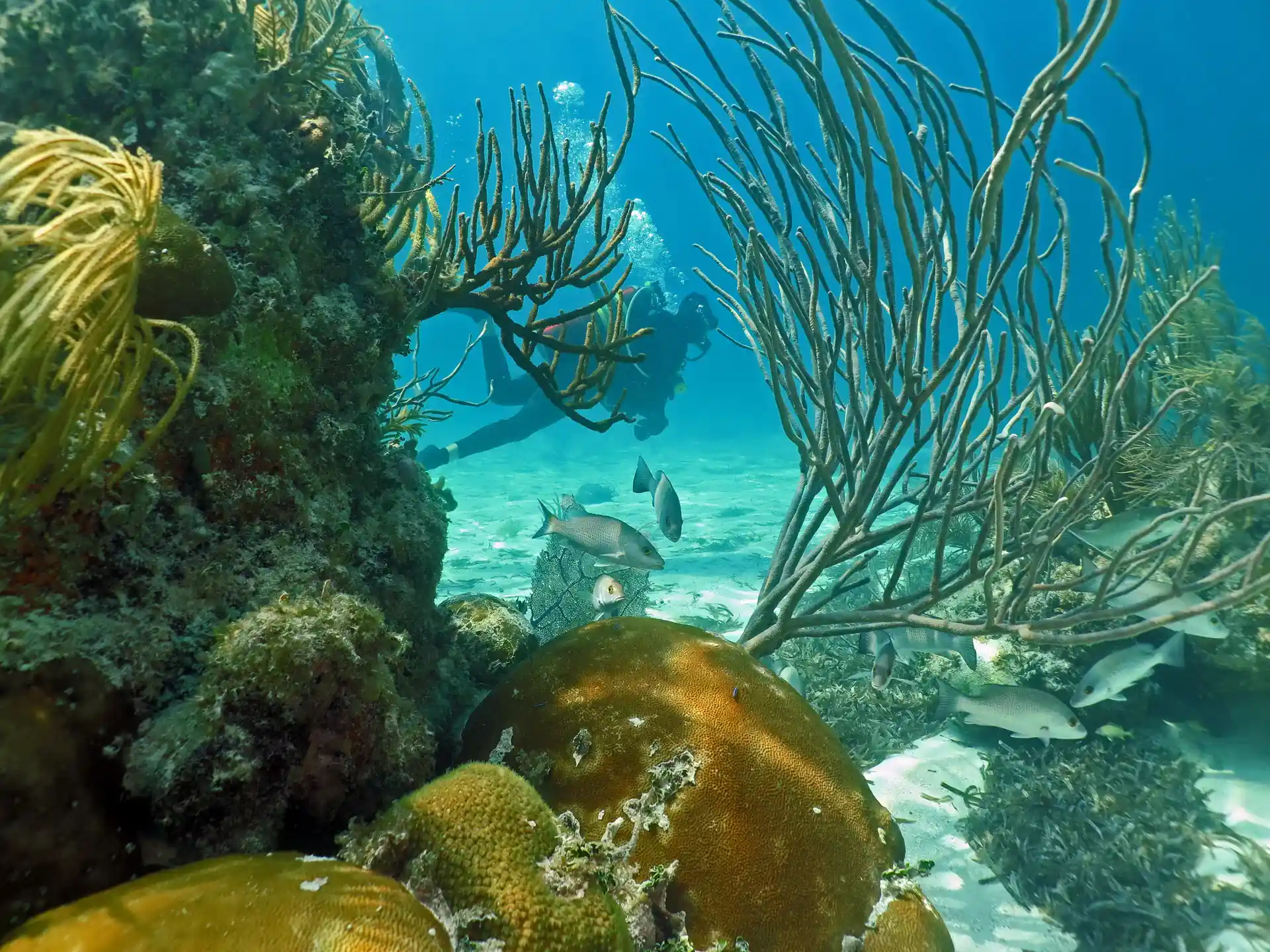 Dive shop photo