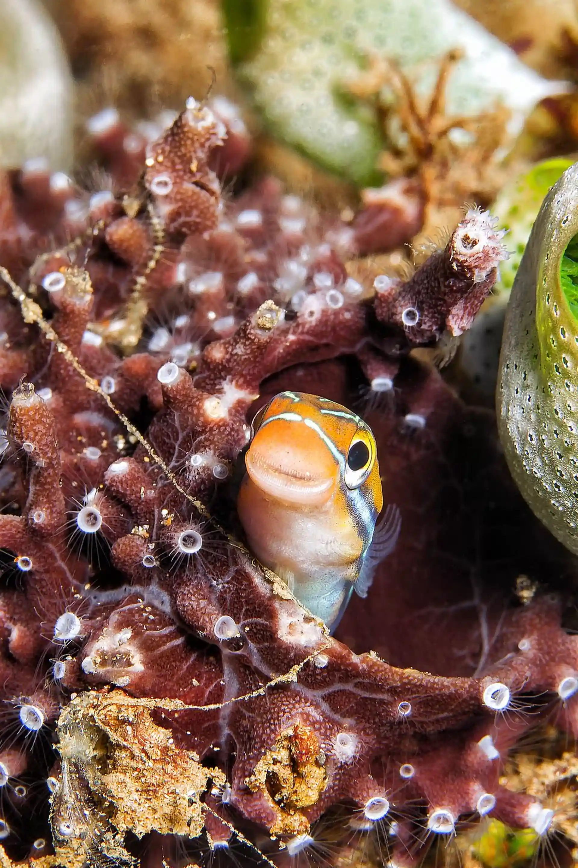 Foto des Tauchplatzes