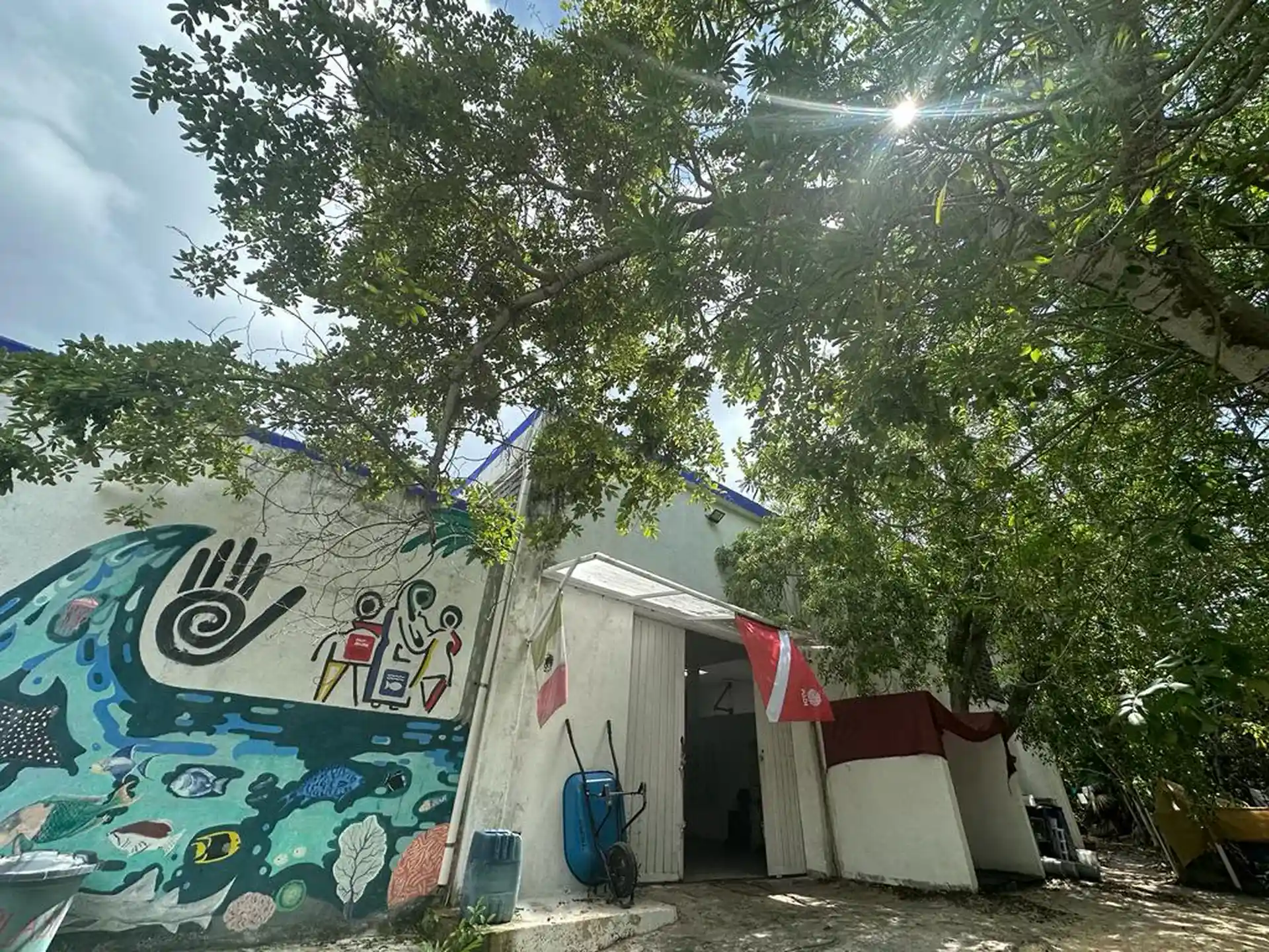 Dive shop photo