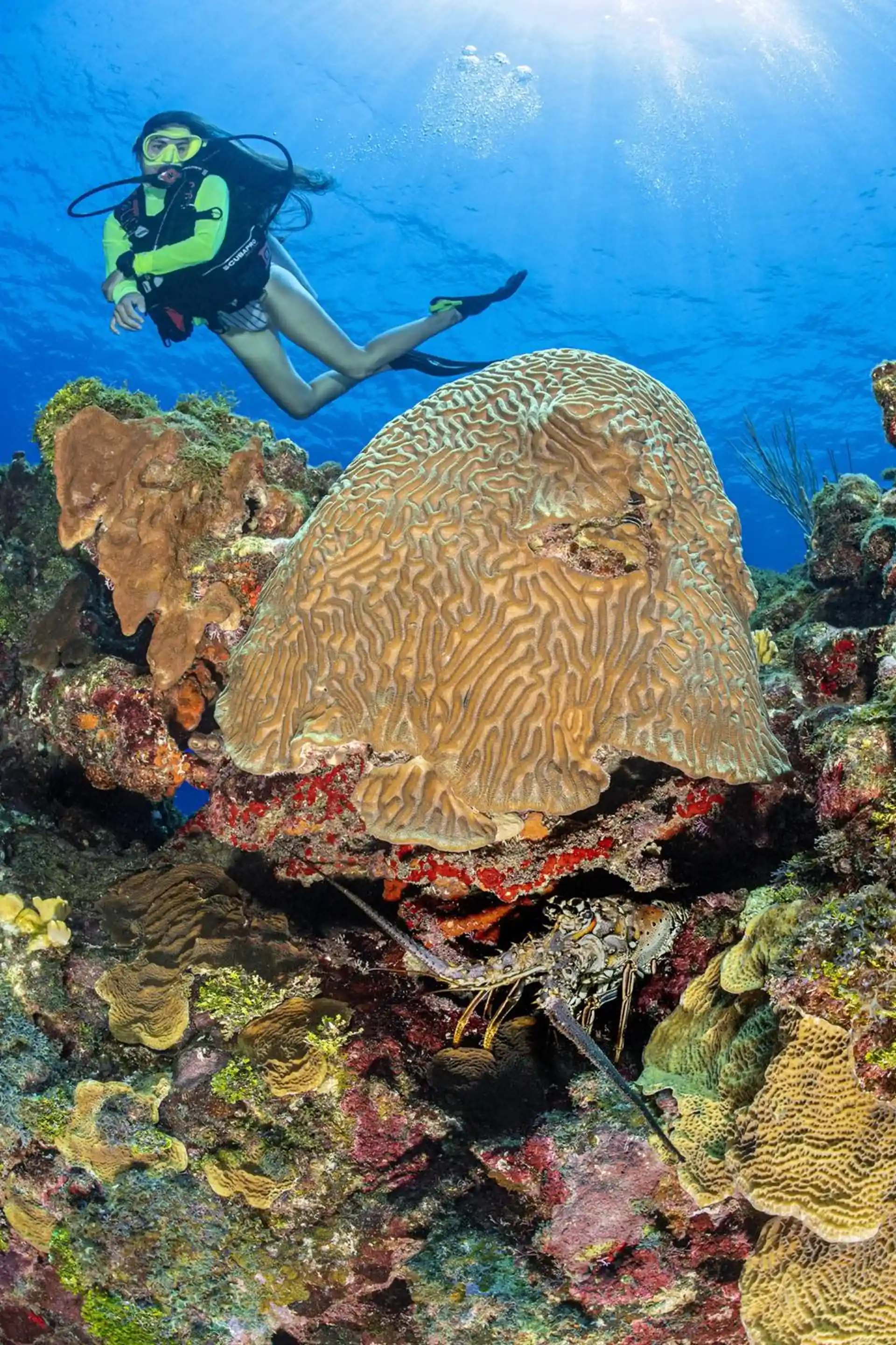 Photo du site de plongée