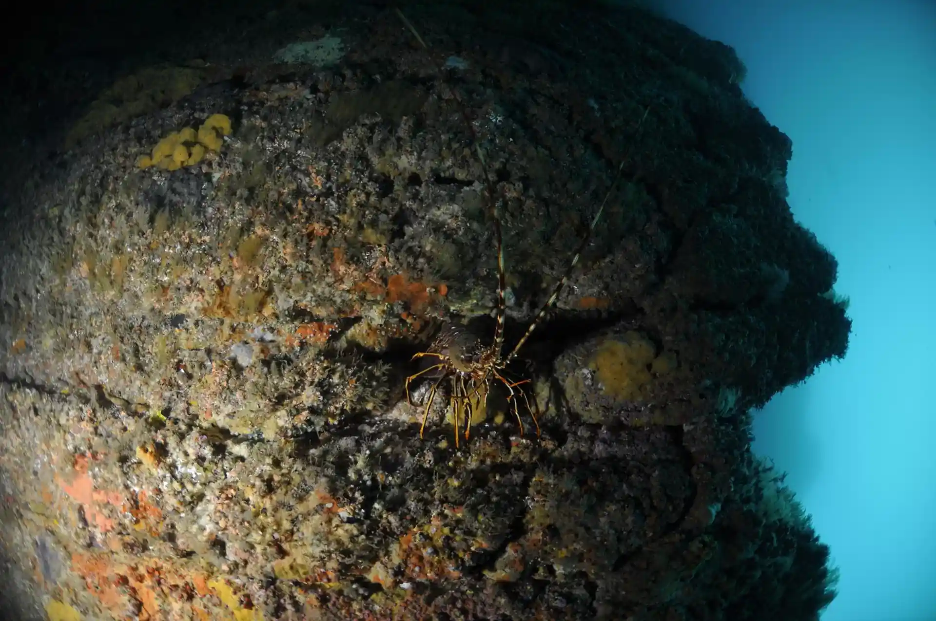 Dive site photo