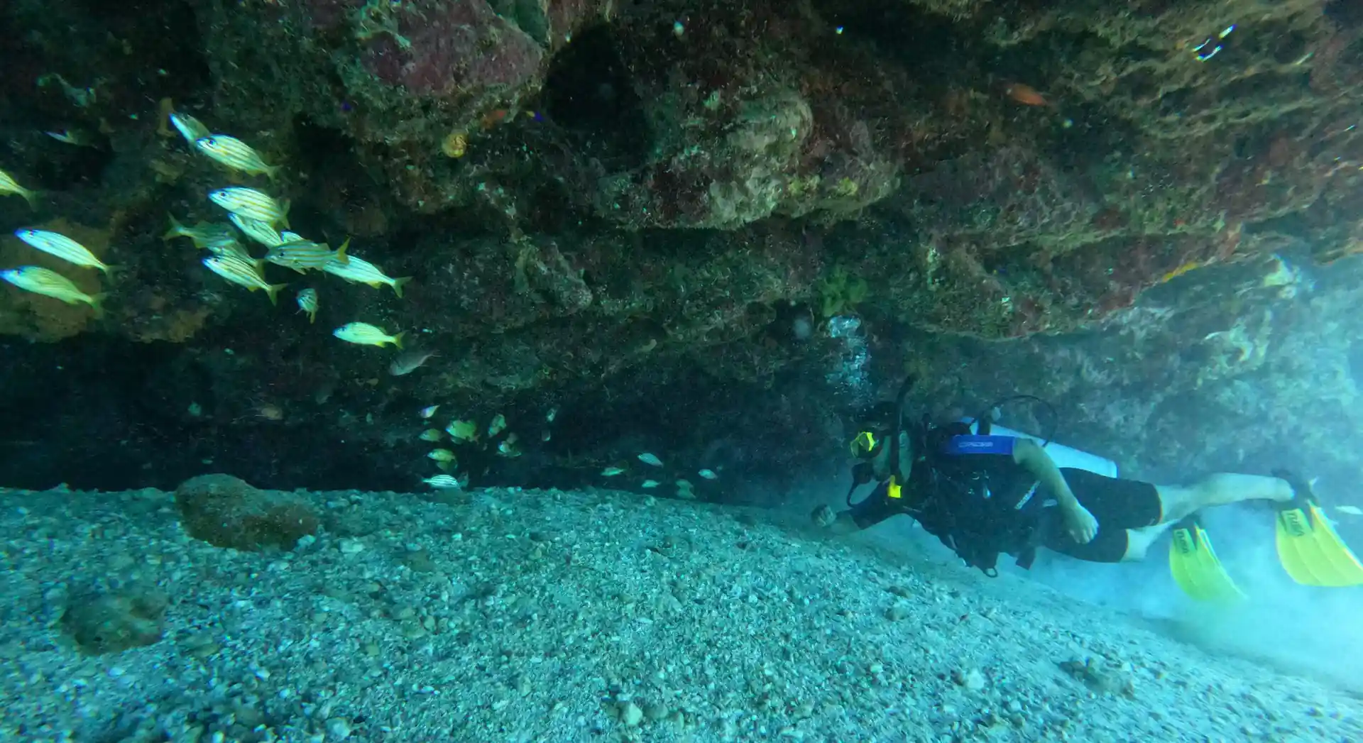 Dive site photo