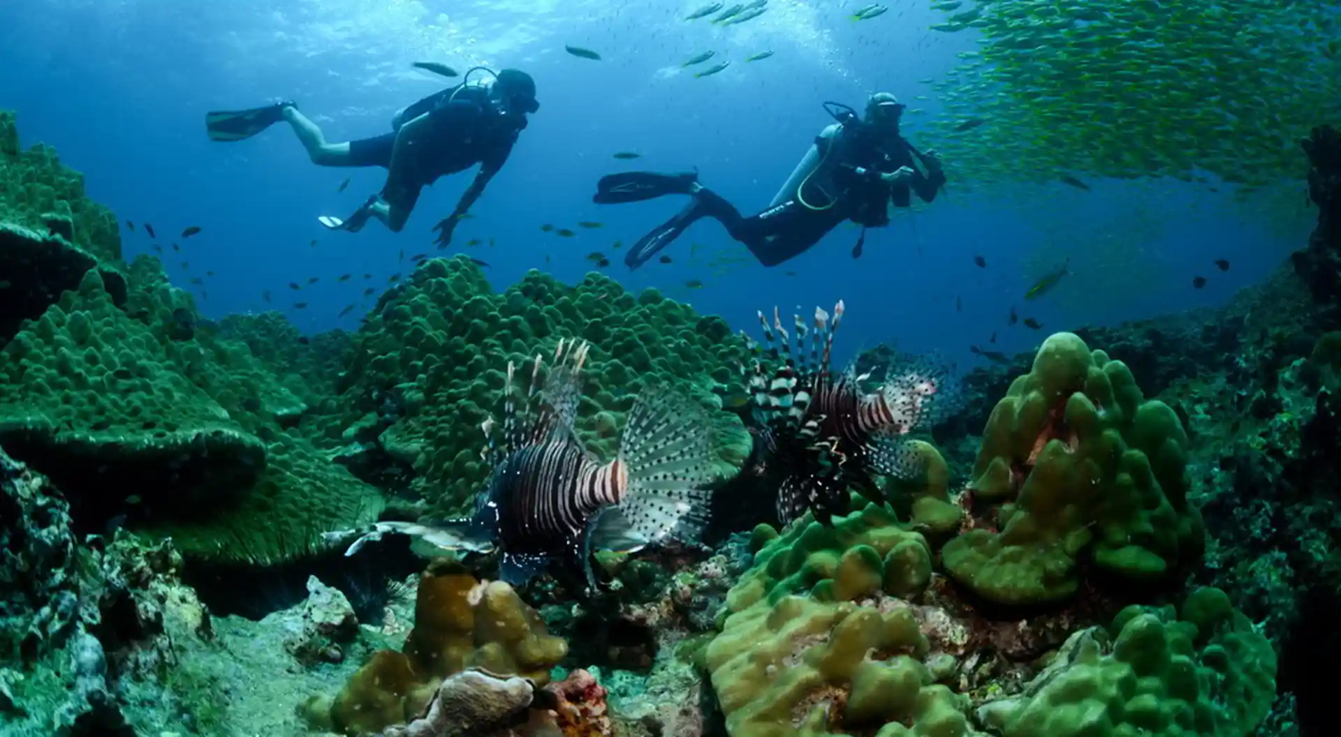Dive site photo