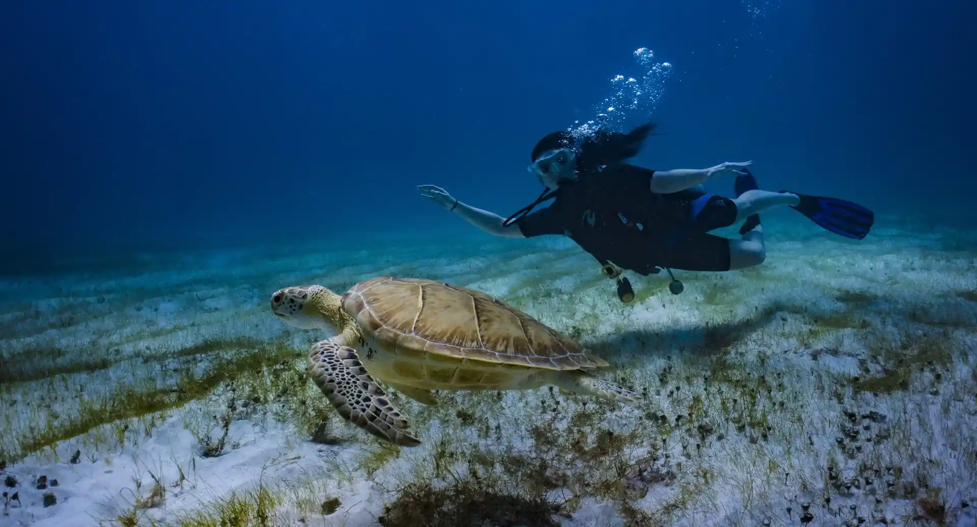 ダイビングサイトの写真