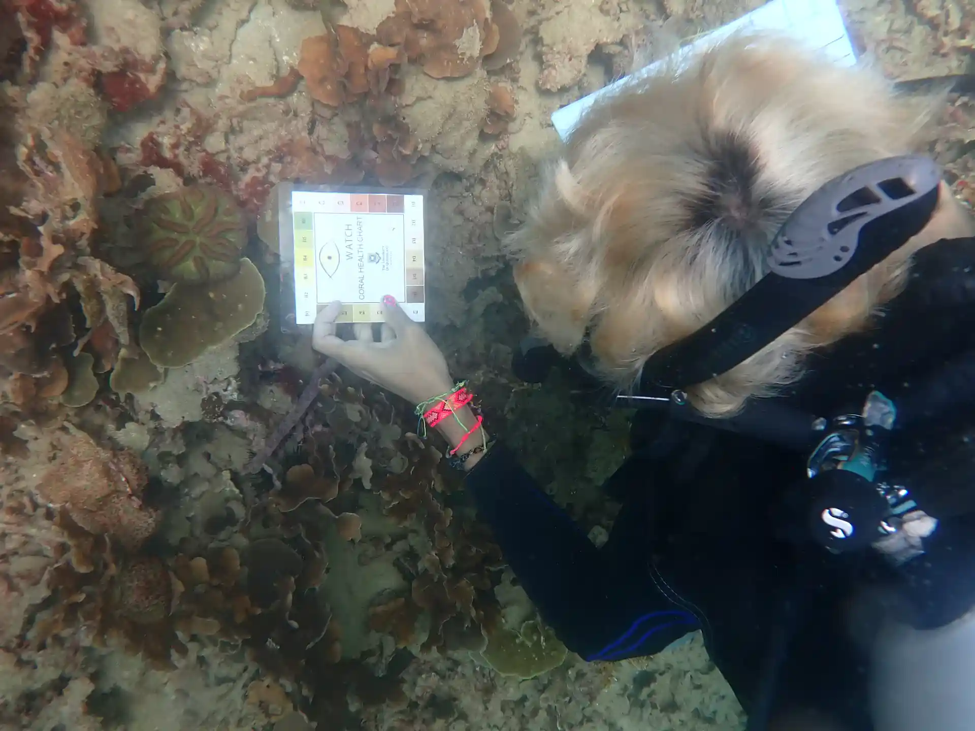 アクティビティ写真