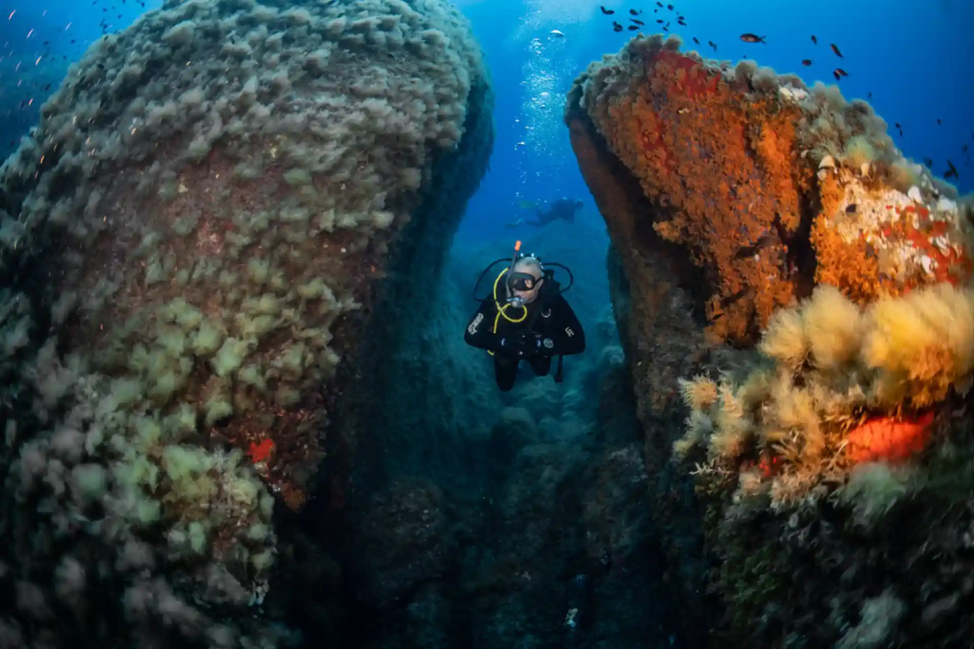Dive site photo