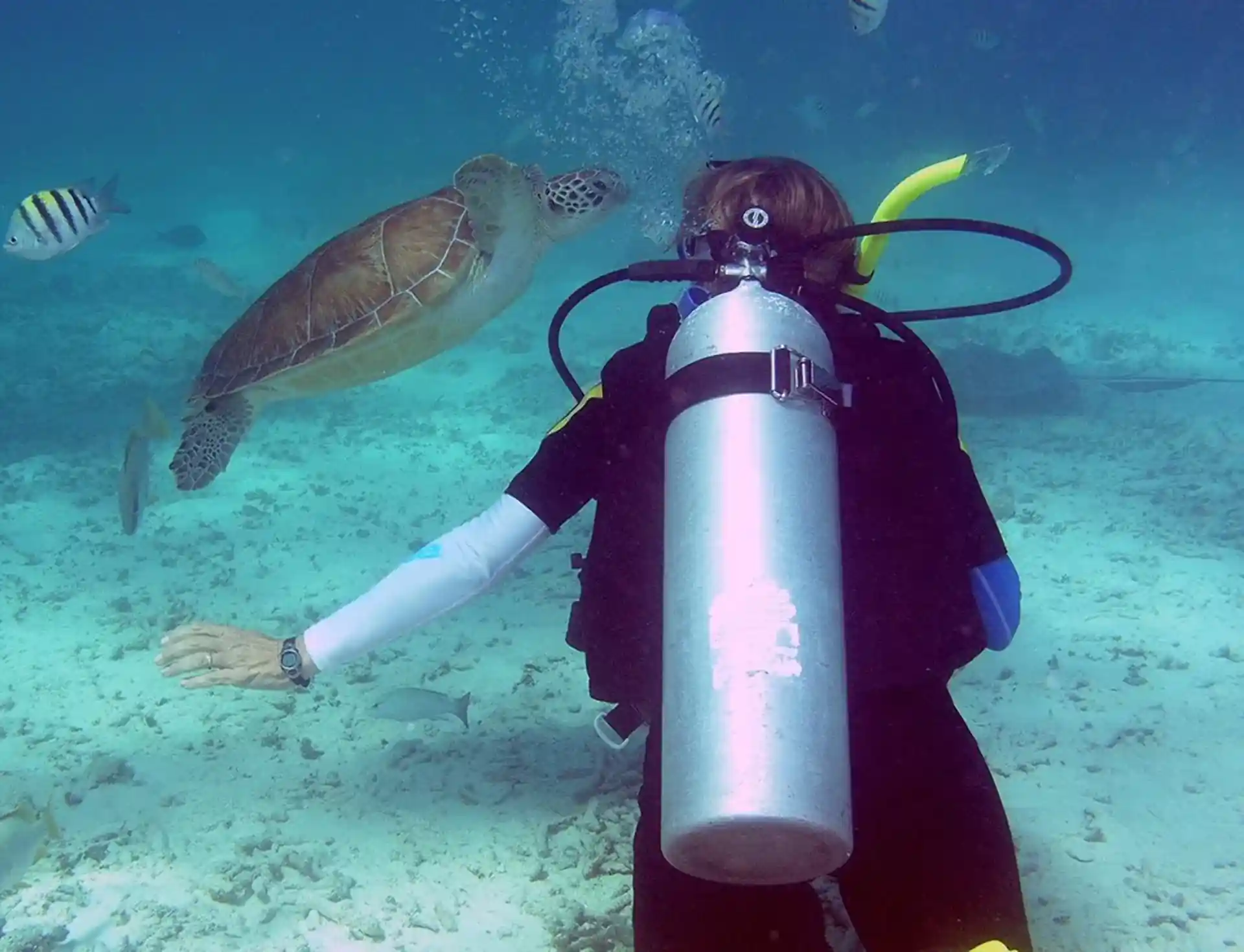 Dive shop photo