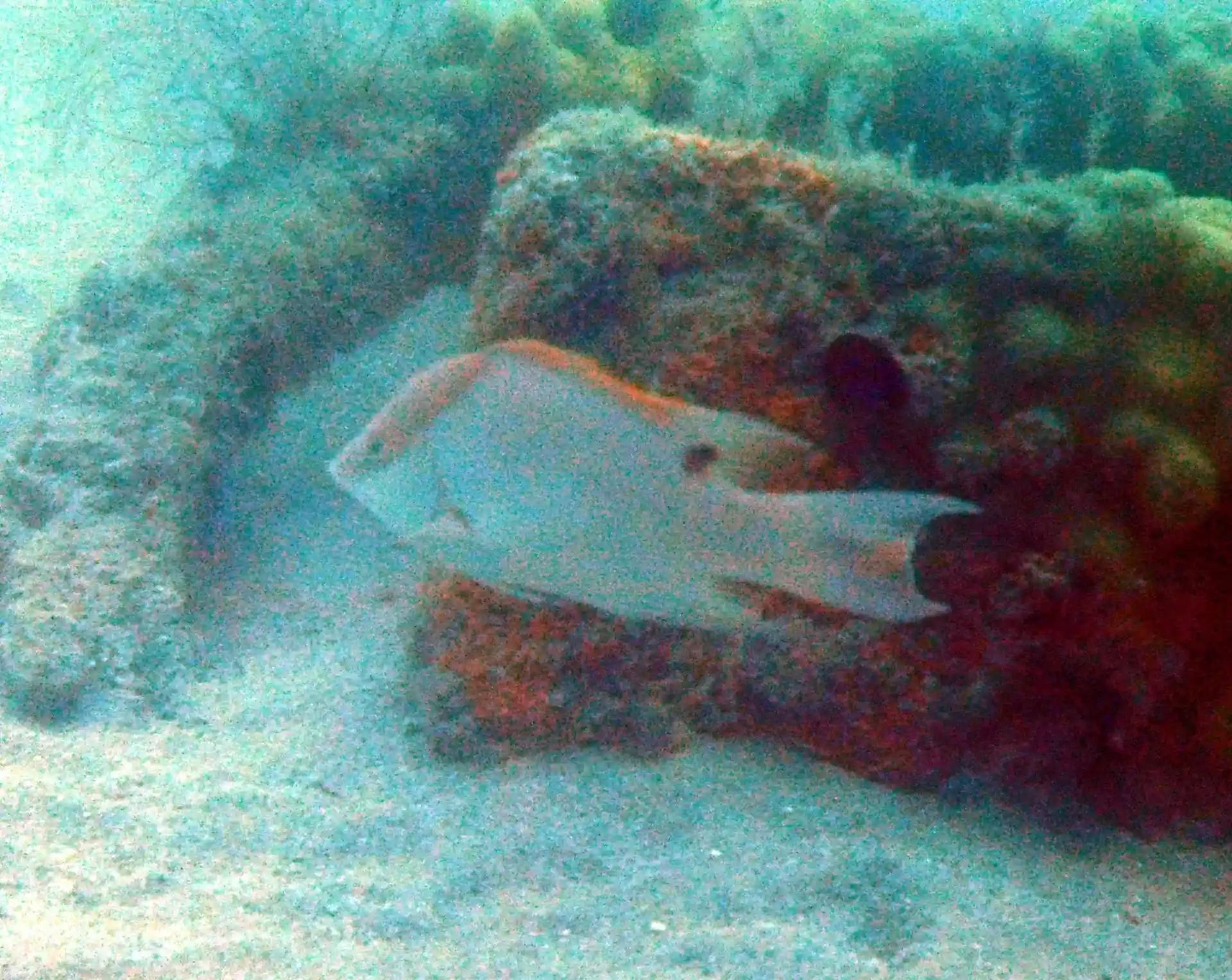 Dive site photo