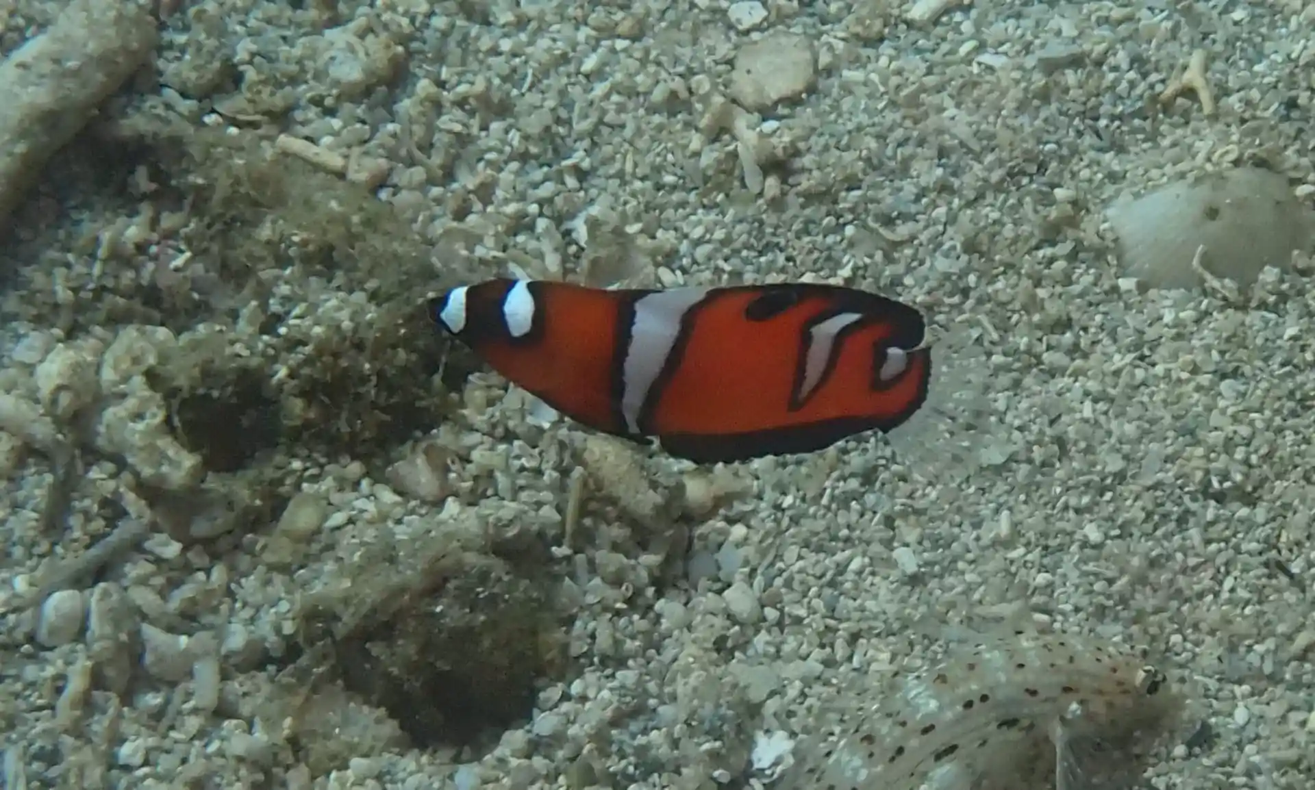 Foto de la actividad