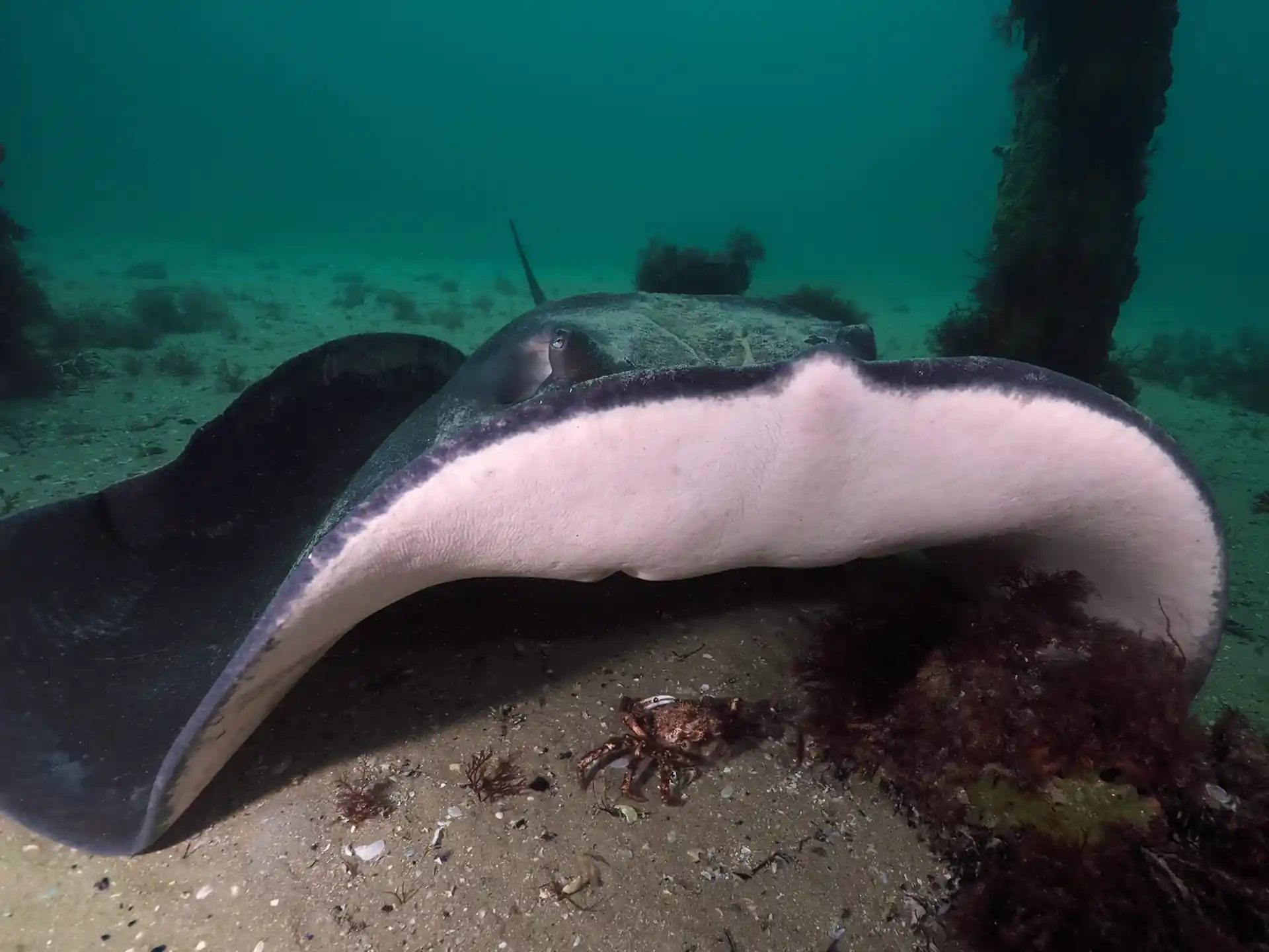 Dive site photo