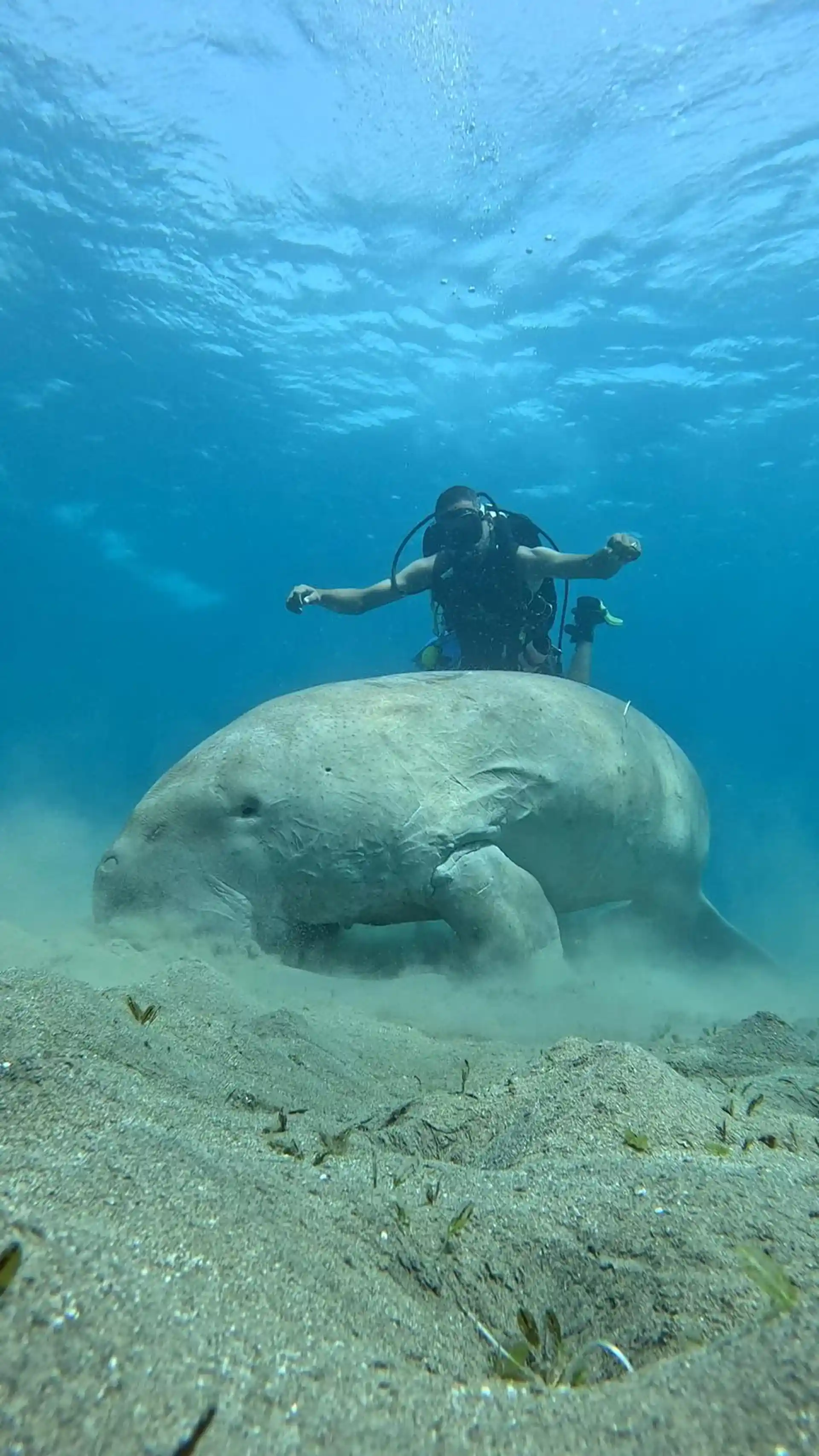 Foto van de duiklocatie