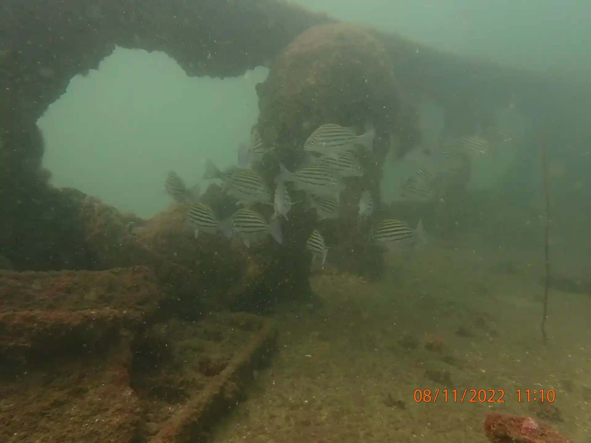 Dive site photo