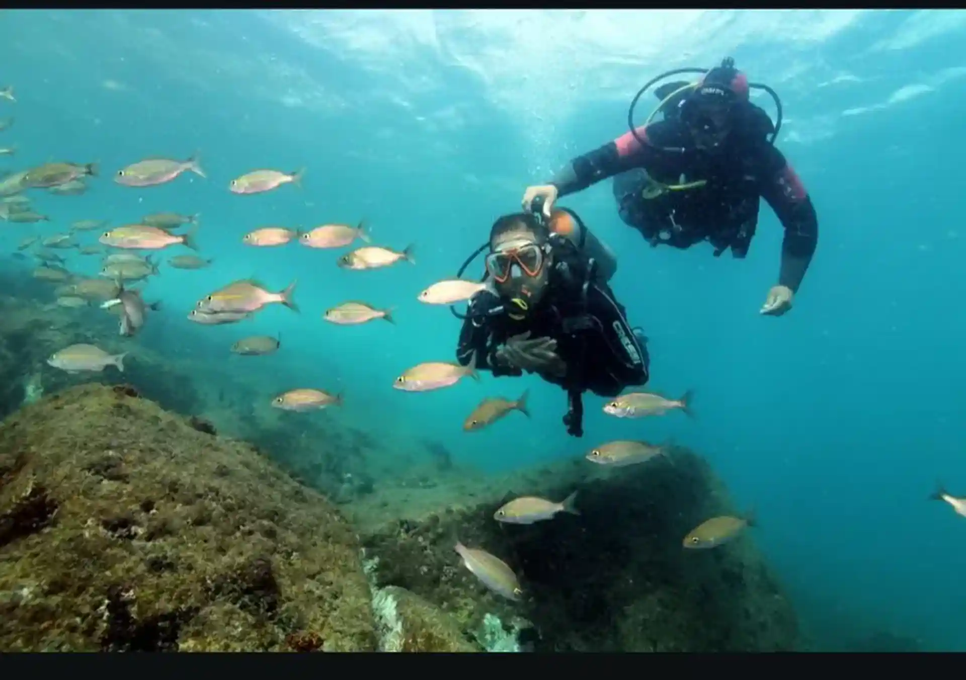 Dive shop photo