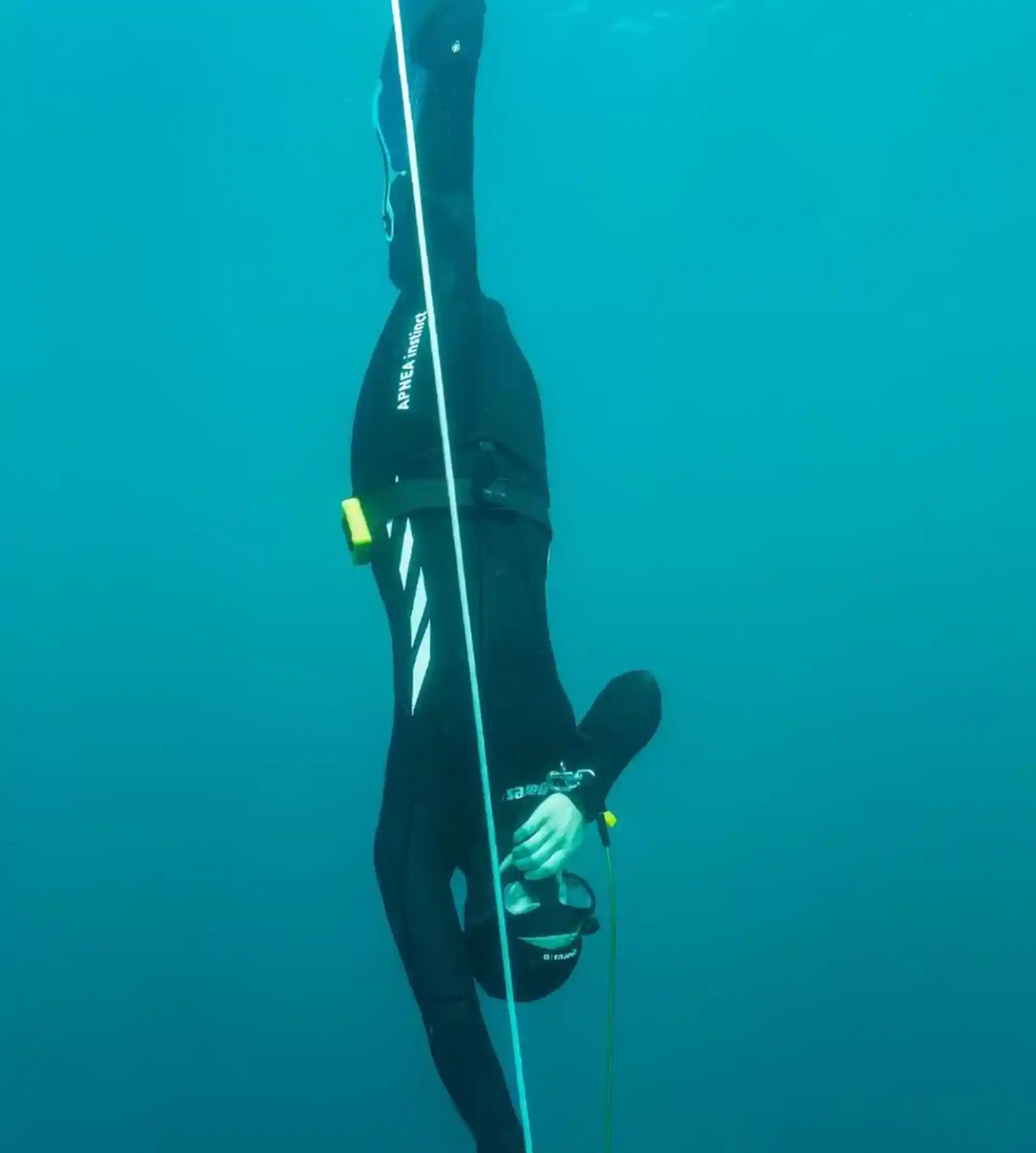 Dive shop photo