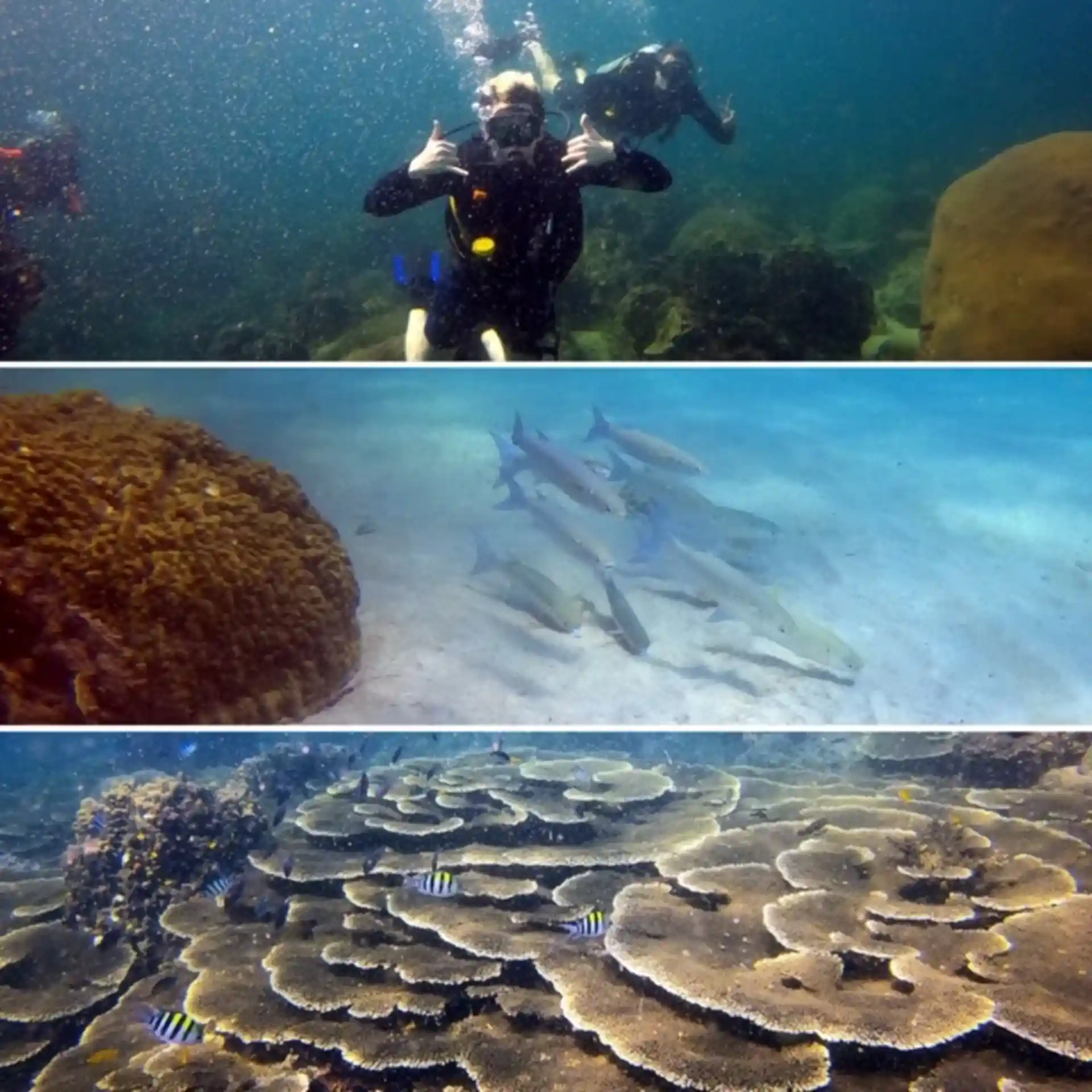 Photo de l'activité