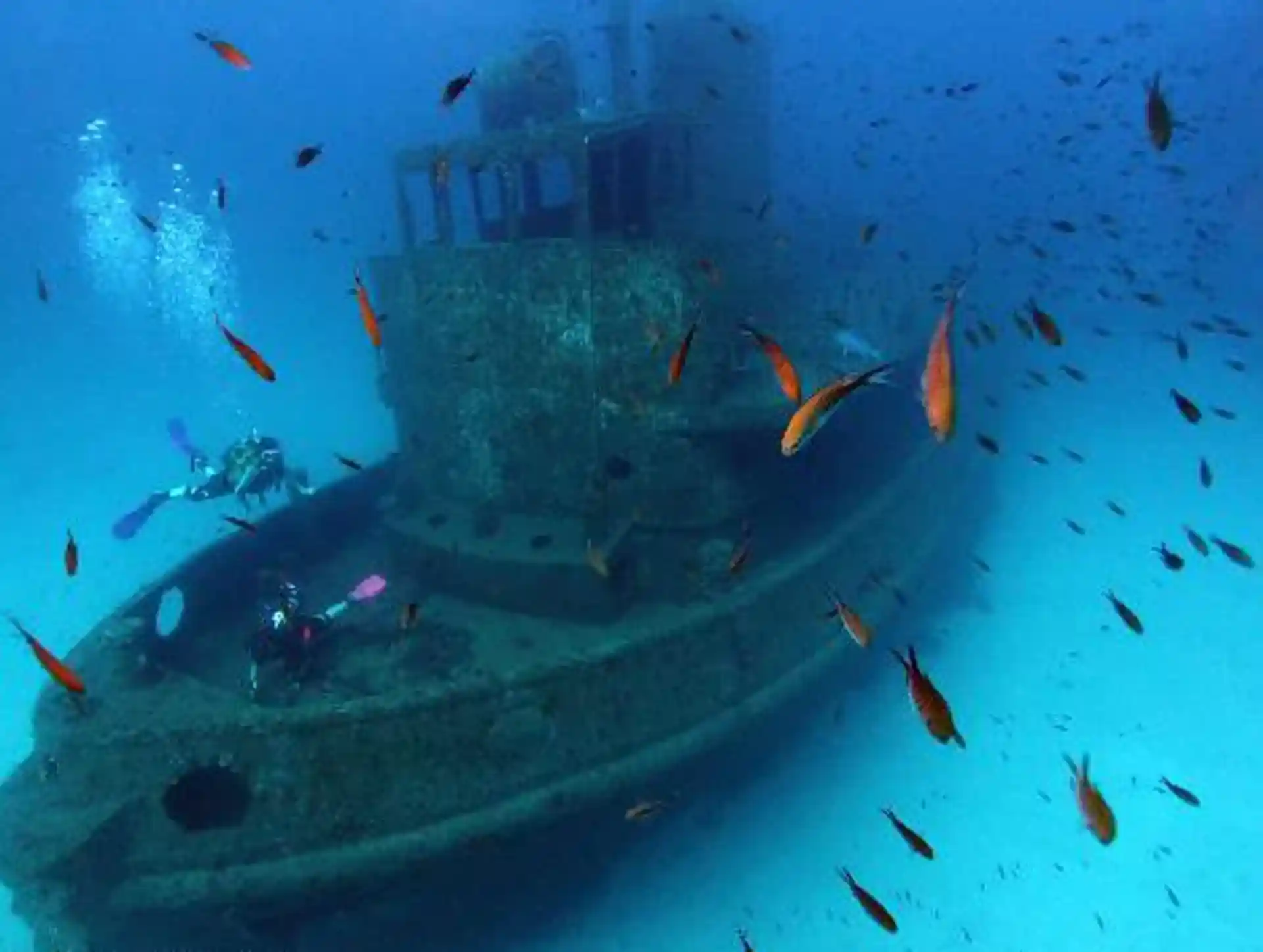Explore The Purposefully Scuttled Tug Boat MV Rozi Off Cirkewwa